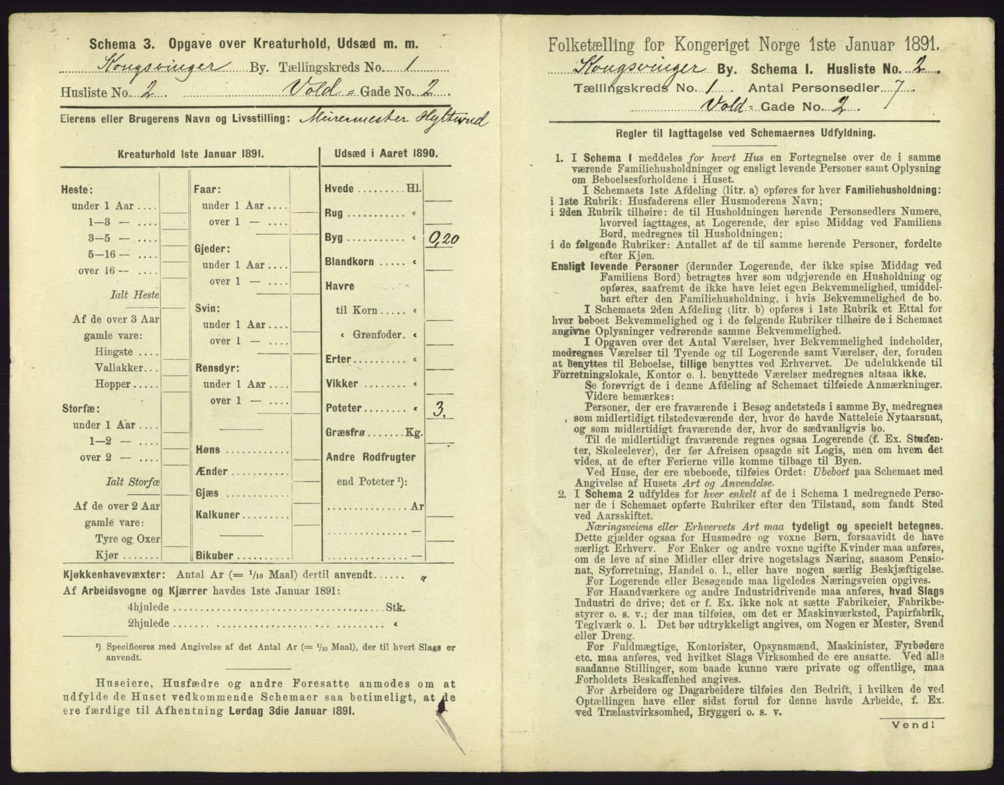 RA, 1891 census for 0402 Kongsvinger, 1891, p. 21