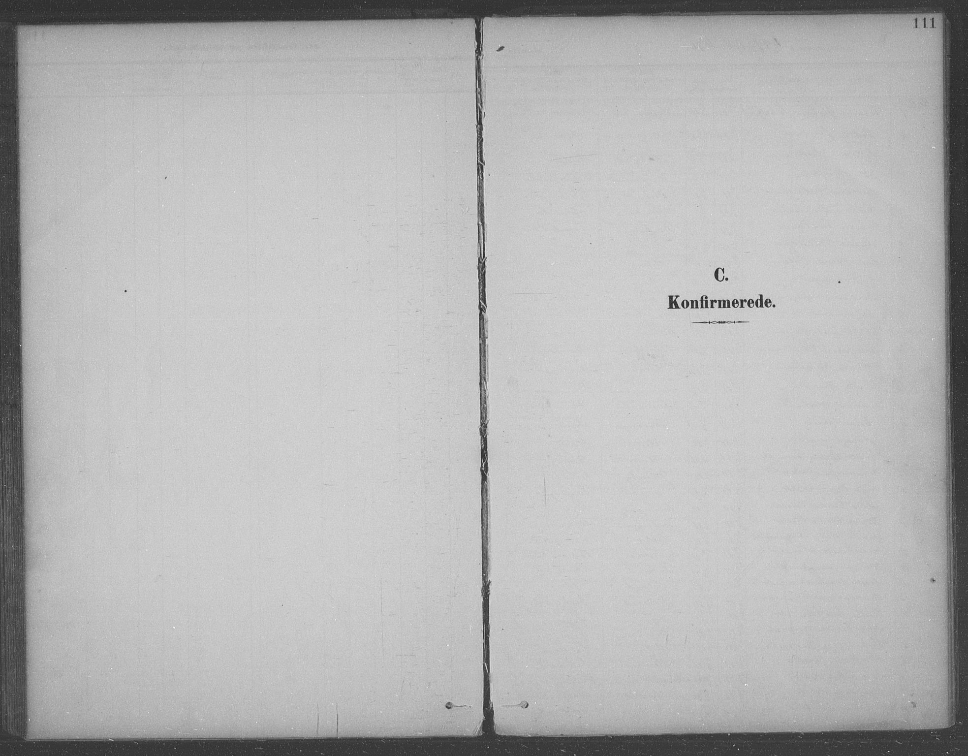 Aremark prestekontor Kirkebøker, SAO/A-10899/F/Fb/L0005: Parish register (official) no. II 5, 1895-1919, p. 111