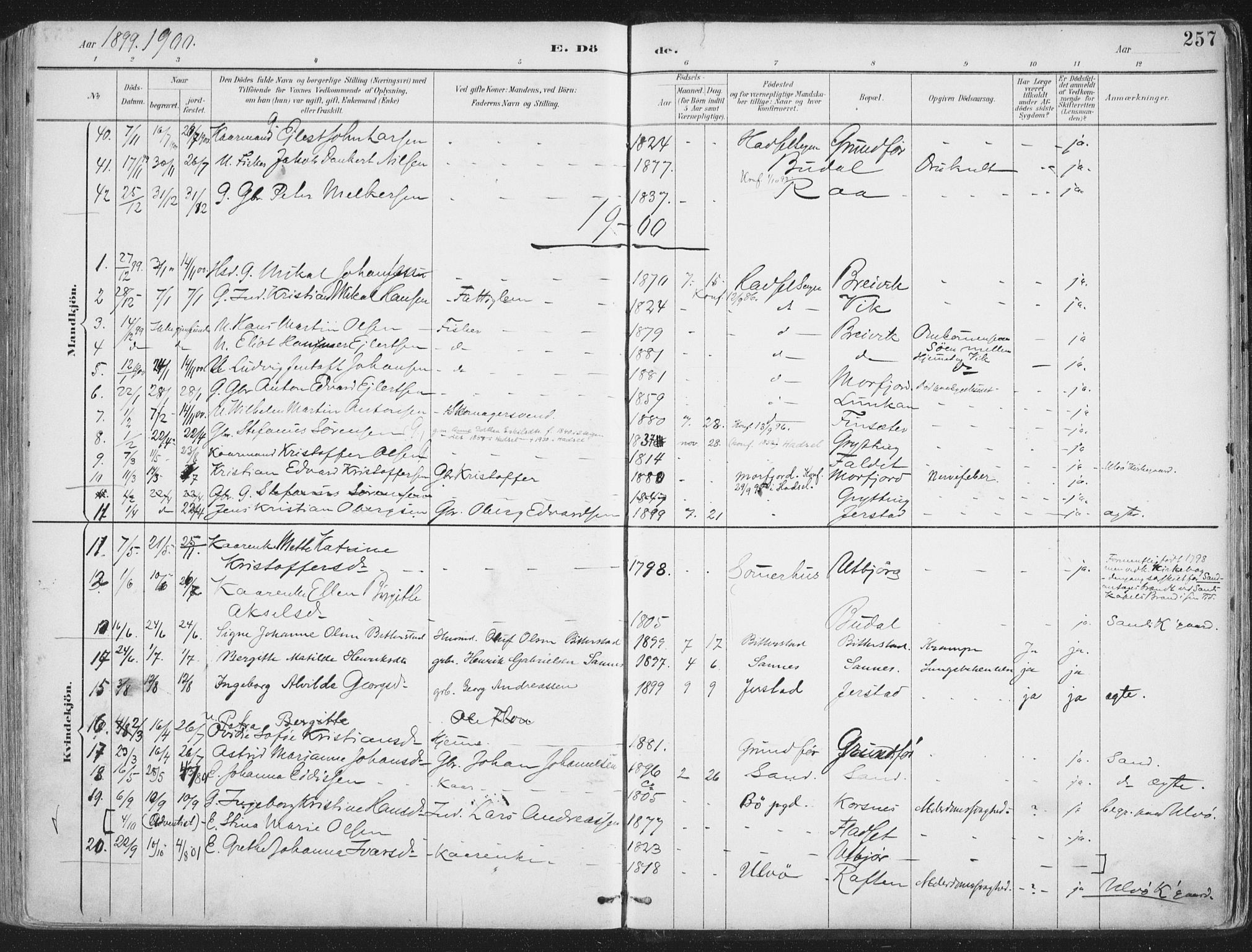 Ministerialprotokoller, klokkerbøker og fødselsregistre - Nordland, SAT/A-1459/888/L1246: Parish register (official) no. 888A12, 1891-1903, p. 257