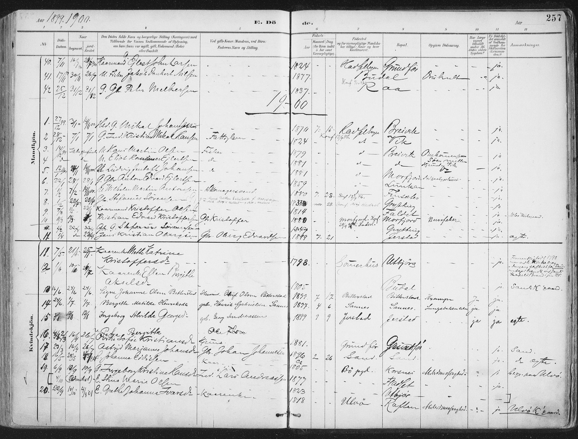 Ministerialprotokoller, klokkerbøker og fødselsregistre - Nordland, AV/SAT-A-1459/888/L1246: Parish register (official) no. 888A12, 1891-1903, p. 257