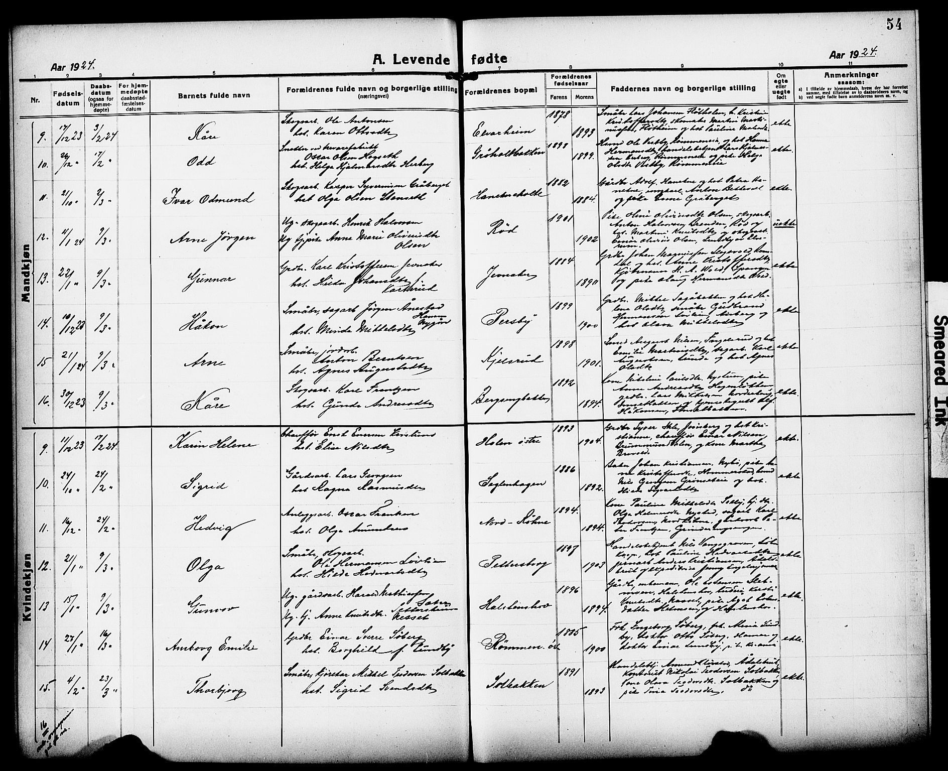 Løten prestekontor, AV/SAH-PREST-022/L/La/L0008: Parish register (copy) no. 8, 1920-1929, p. 54