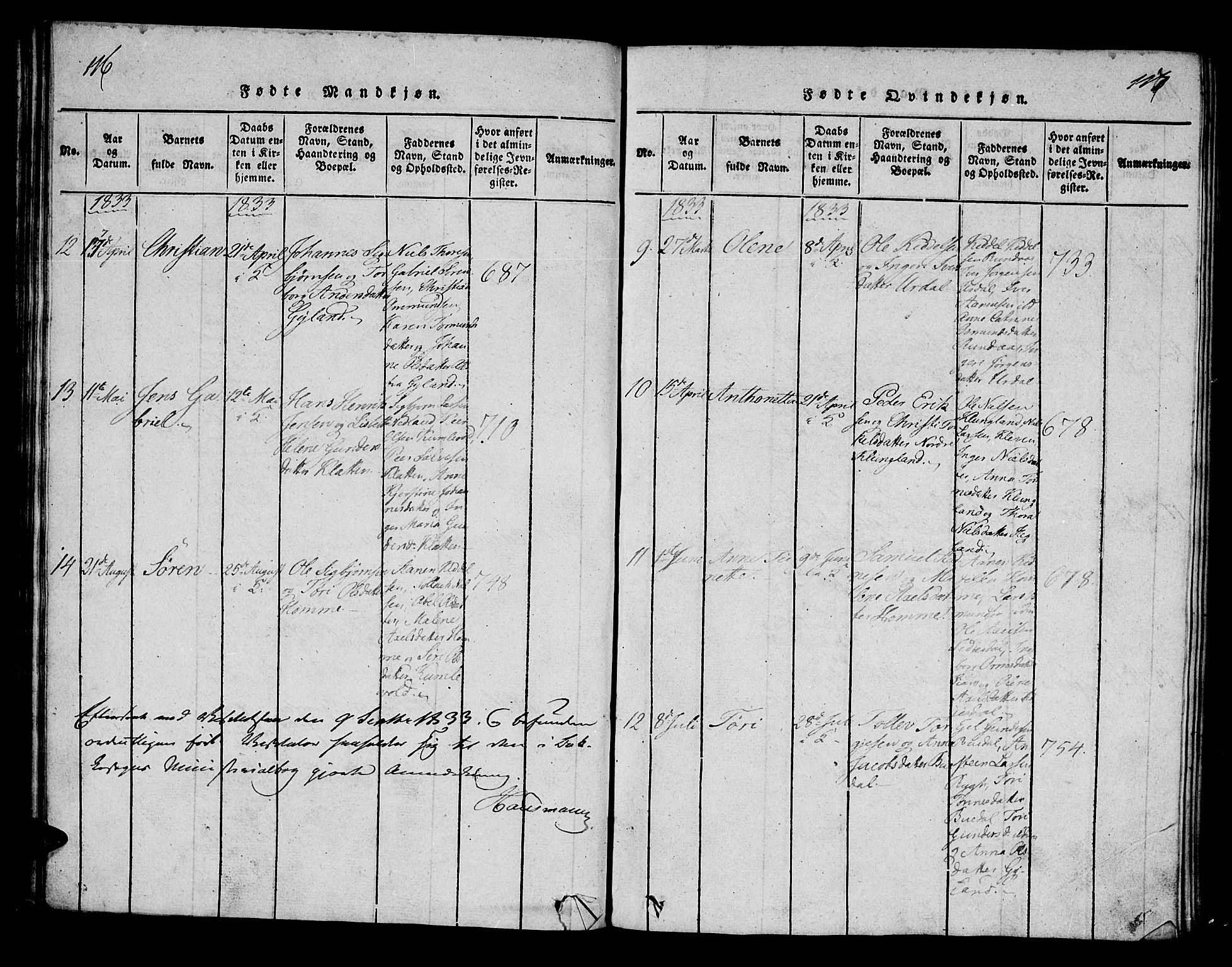 Bakke sokneprestkontor, AV/SAK-1111-0002/F/Fa/Fab/L0001: Parish register (official) no. A 1, 1815-1835, p. 116-117