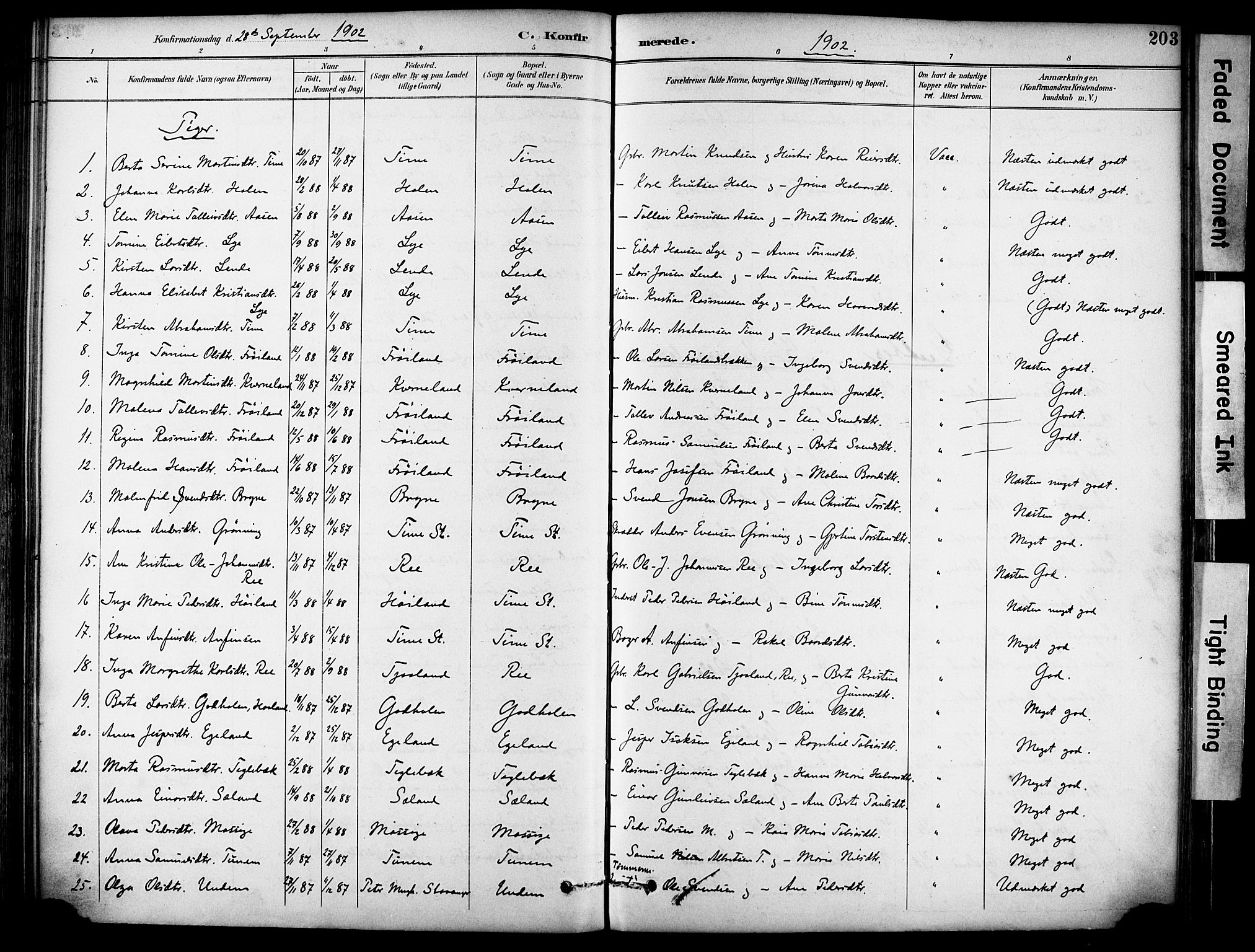 Lye sokneprestkontor, AV/SAST-A-101794/001/30BA/L0011: Parish register (official) no. A 9, 1893-1903, p. 203