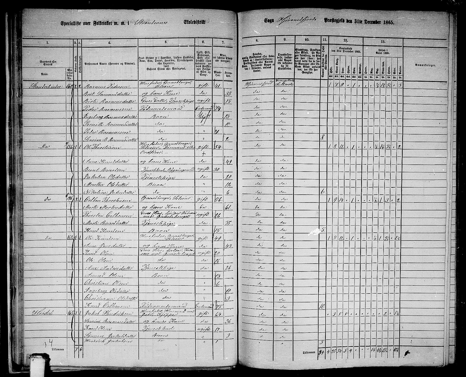 RA, 1865 census for Hjørundfjord, 1865, p. 19