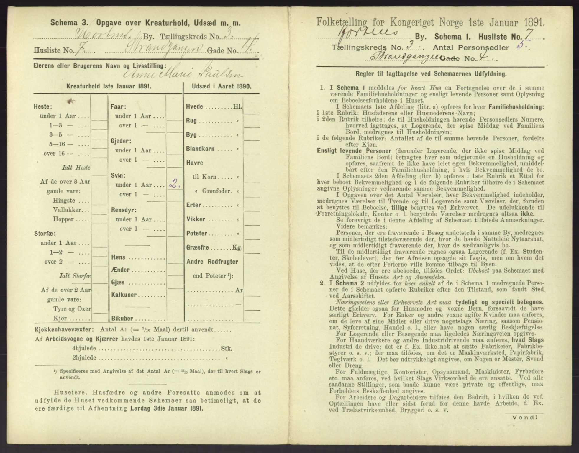 RA, 1891 census for 0703 Horten, 1891, p. 299