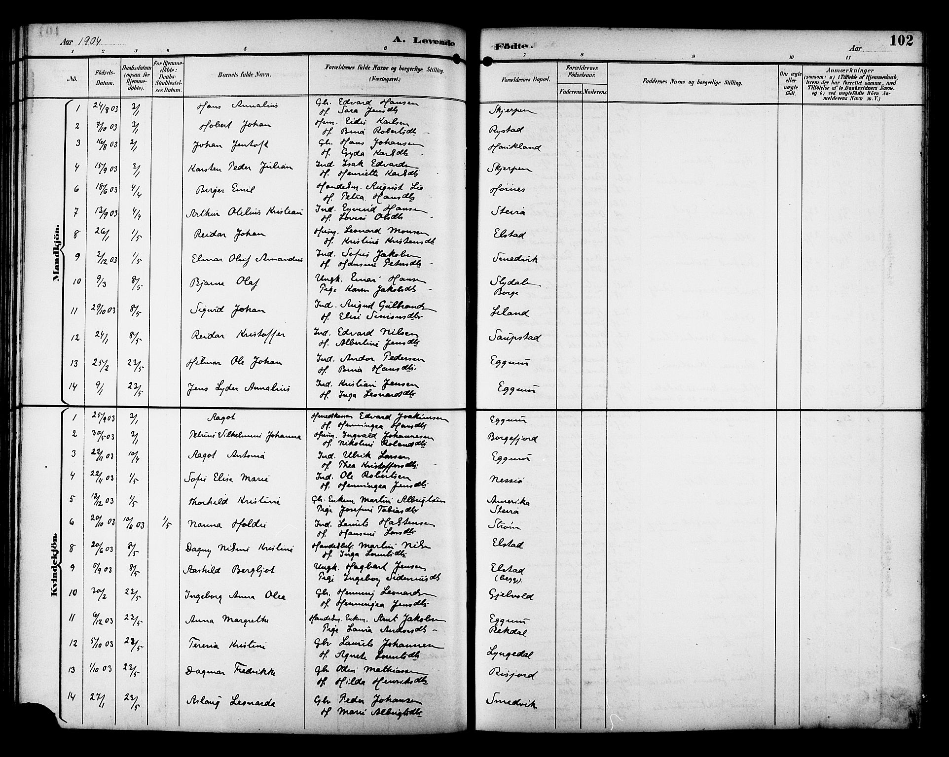 Ministerialprotokoller, klokkerbøker og fødselsregistre - Nordland, AV/SAT-A-1459/880/L1141: Parish register (copy) no. 880C03, 1893-1928, p. 102