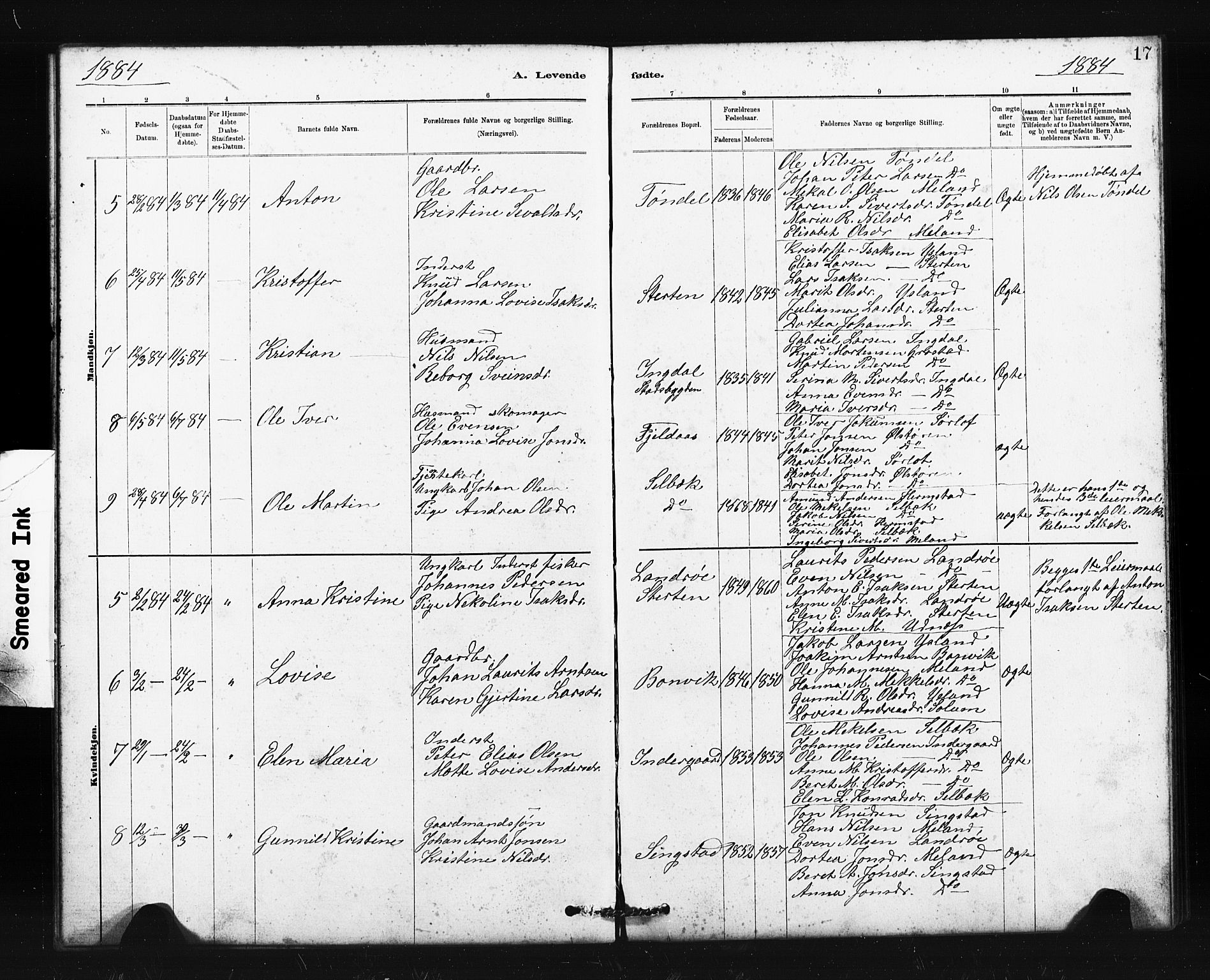Ministerialprotokoller, klokkerbøker og fødselsregistre - Sør-Trøndelag, SAT/A-1456/663/L0761: Parish register (copy) no. 663C01, 1880-1893, p. 17