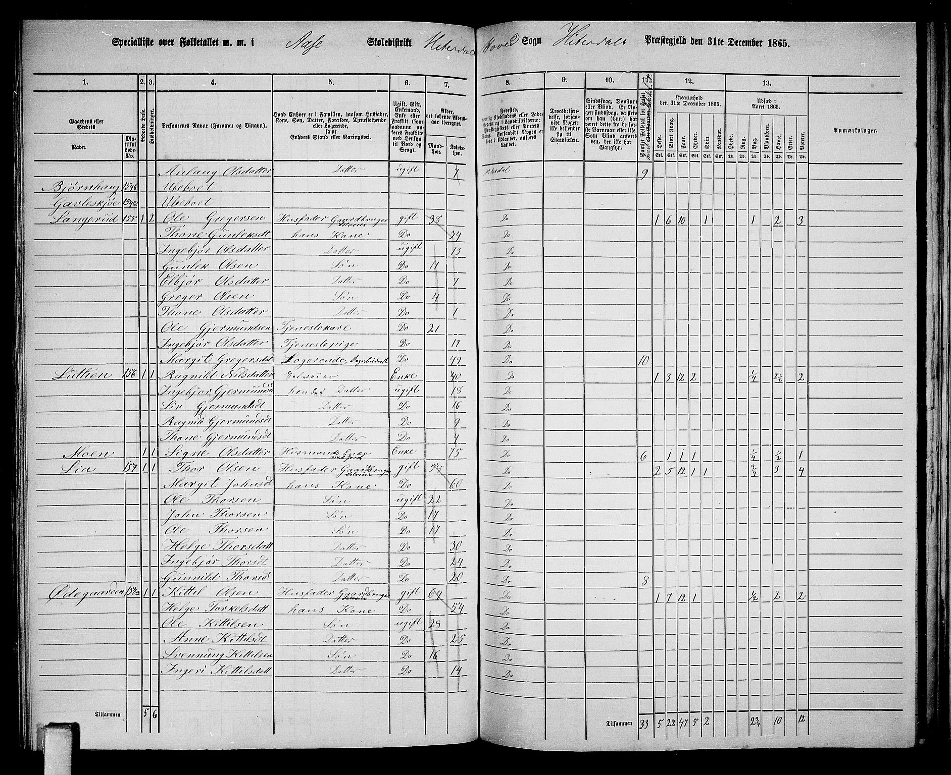RA, 1865 census for Heddal, 1865, p. 119