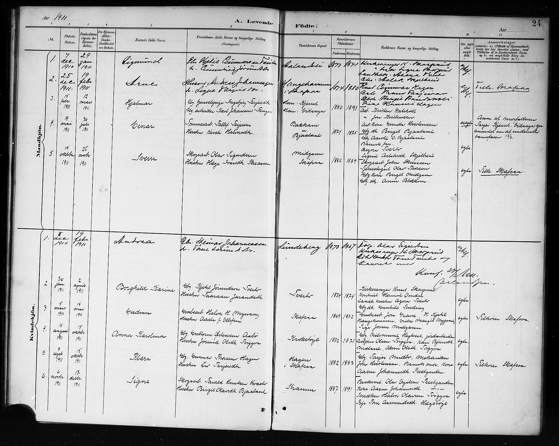 Lårdal kirkebøker, SAKO/A-284/G/Ga/L0003: Parish register (copy) no. I 3, 1891-1918, p. 24