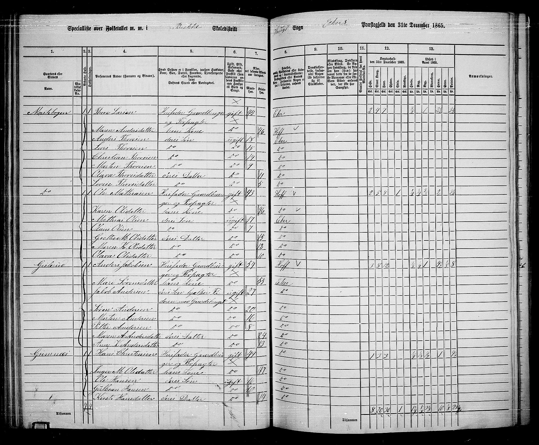 RA, 1865 census for Eiker, 1865, p. 73