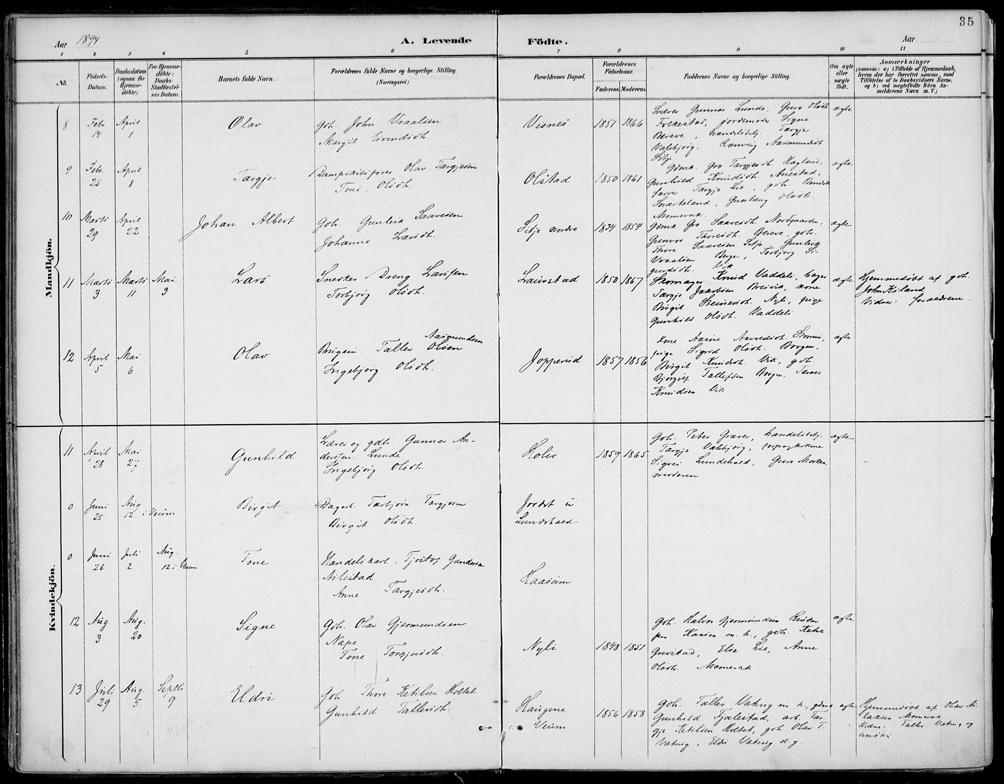 Fyresdal kirkebøker, AV/SAKO-A-263/F/Fa/L0007: Parish register (official) no. I 7, 1887-1914, p. 35