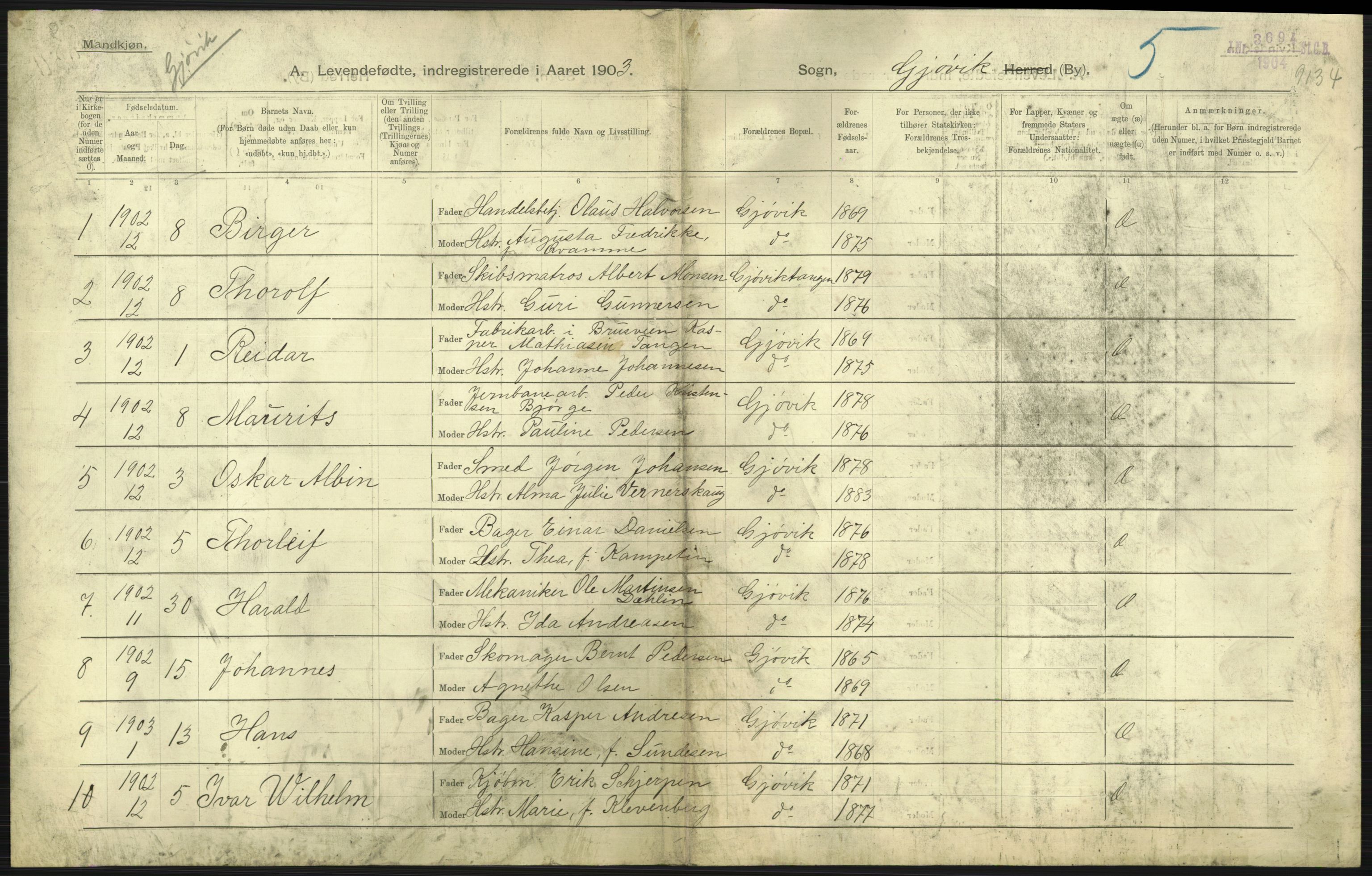 Statistisk sentralbyrå, Sosiodemografiske emner, Befolkning, AV/RA-S-2228/D/Df/Dfa/Dfaa/L0006: Kristians amt: Fødte, gifte, døde, 1903, p. 391