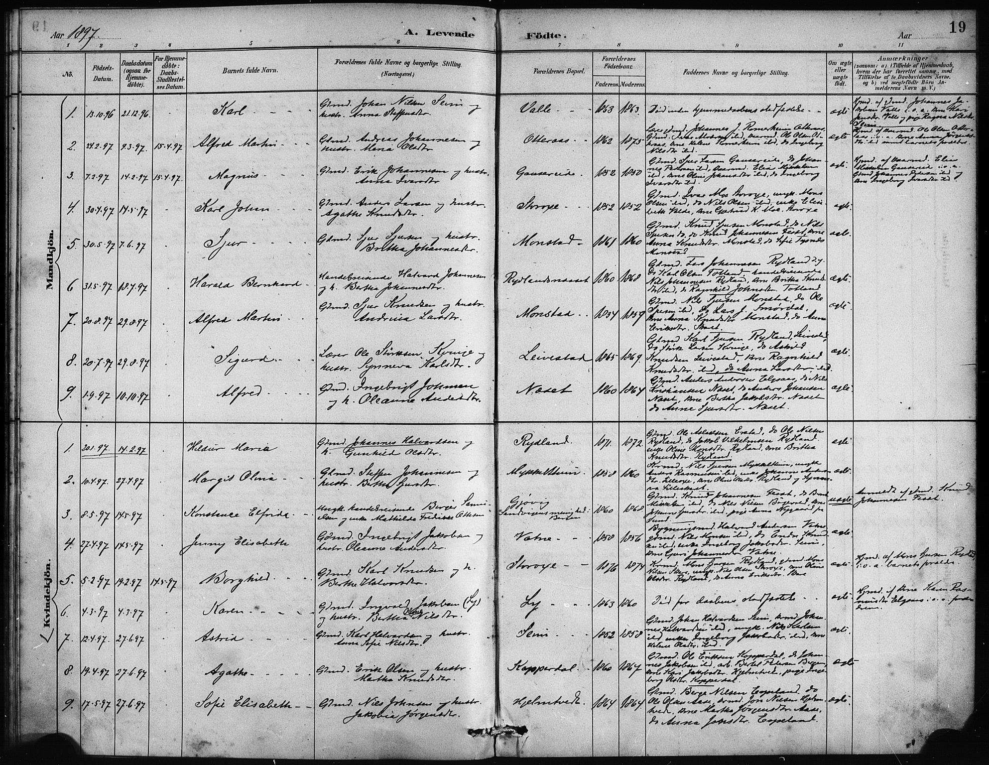 Alversund Sokneprestembete, SAB/A-73901/H/Ha/Haa/Haad/L0002: Parish register (official) no. D 2, 1890-1897, p. 19