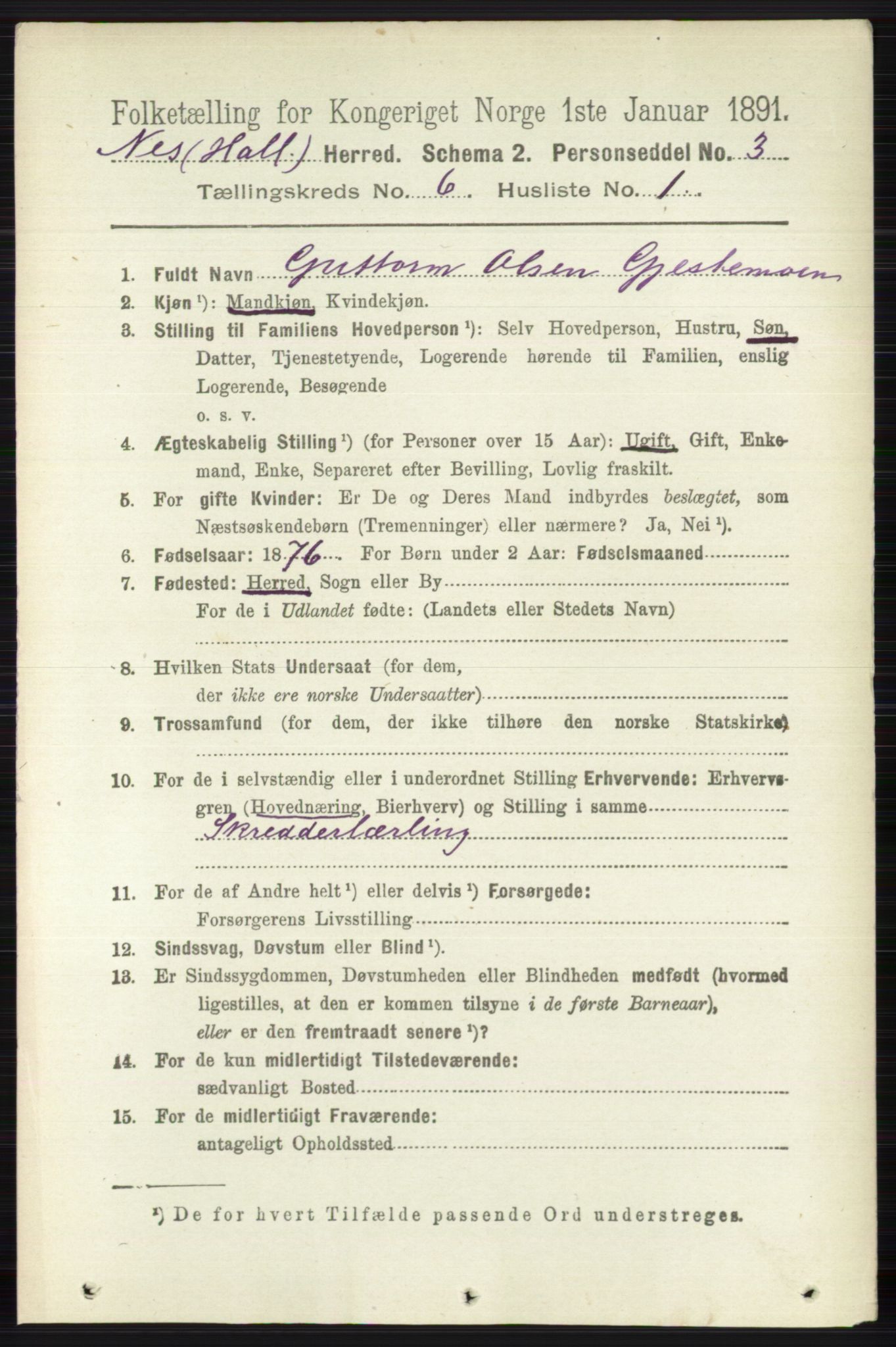 RA, 1891 census for 0616 Nes, 1891, p. 3046