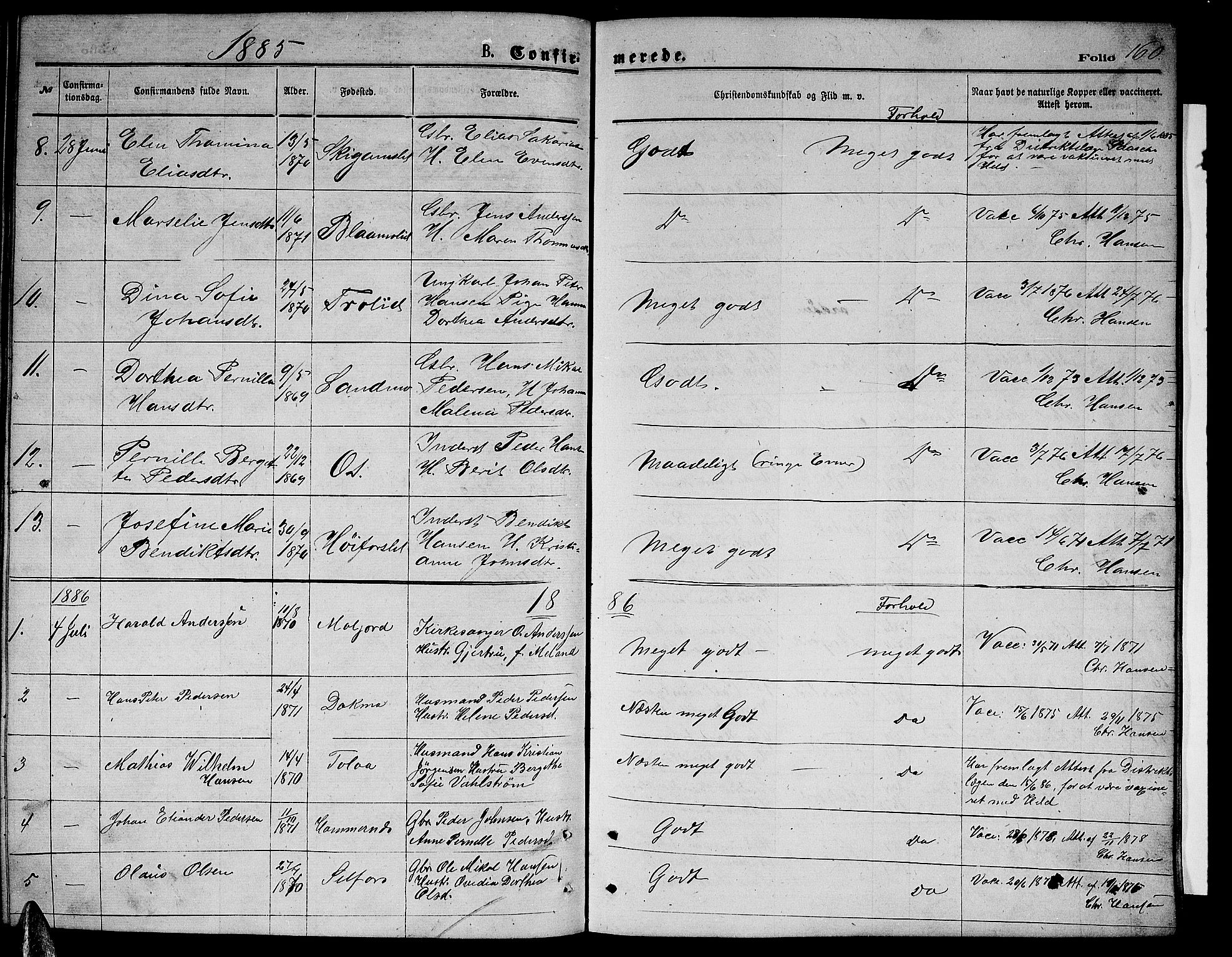 Ministerialprotokoller, klokkerbøker og fødselsregistre - Nordland, AV/SAT-A-1459/846/L0653: Parish register (copy) no. 846C03, 1872-1887, p. 160