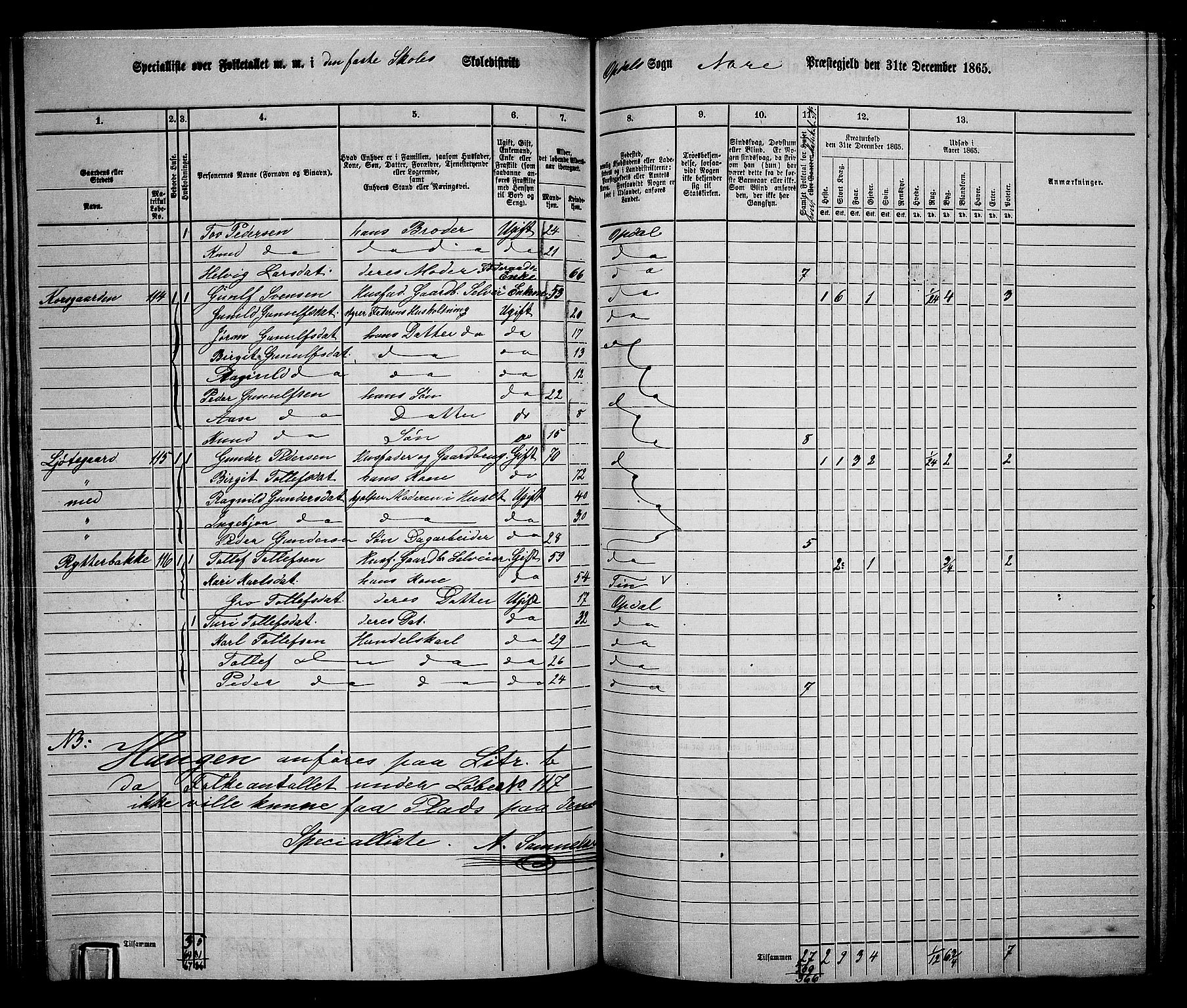 RA, 1865 census for Nore, 1865, p. 96