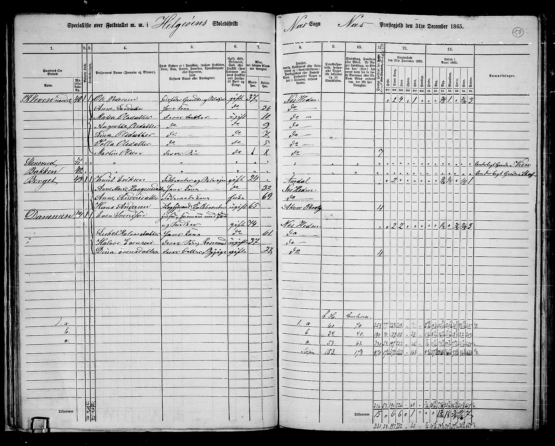 RA, 1865 census for Nes, 1865, p. 43