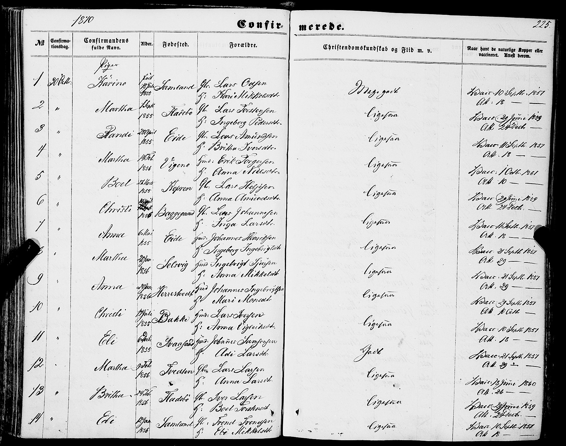 Strandebarm sokneprestembete, AV/SAB-A-78401/H/Haa: Parish register (official) no. A 8, 1858-1872, p. 225