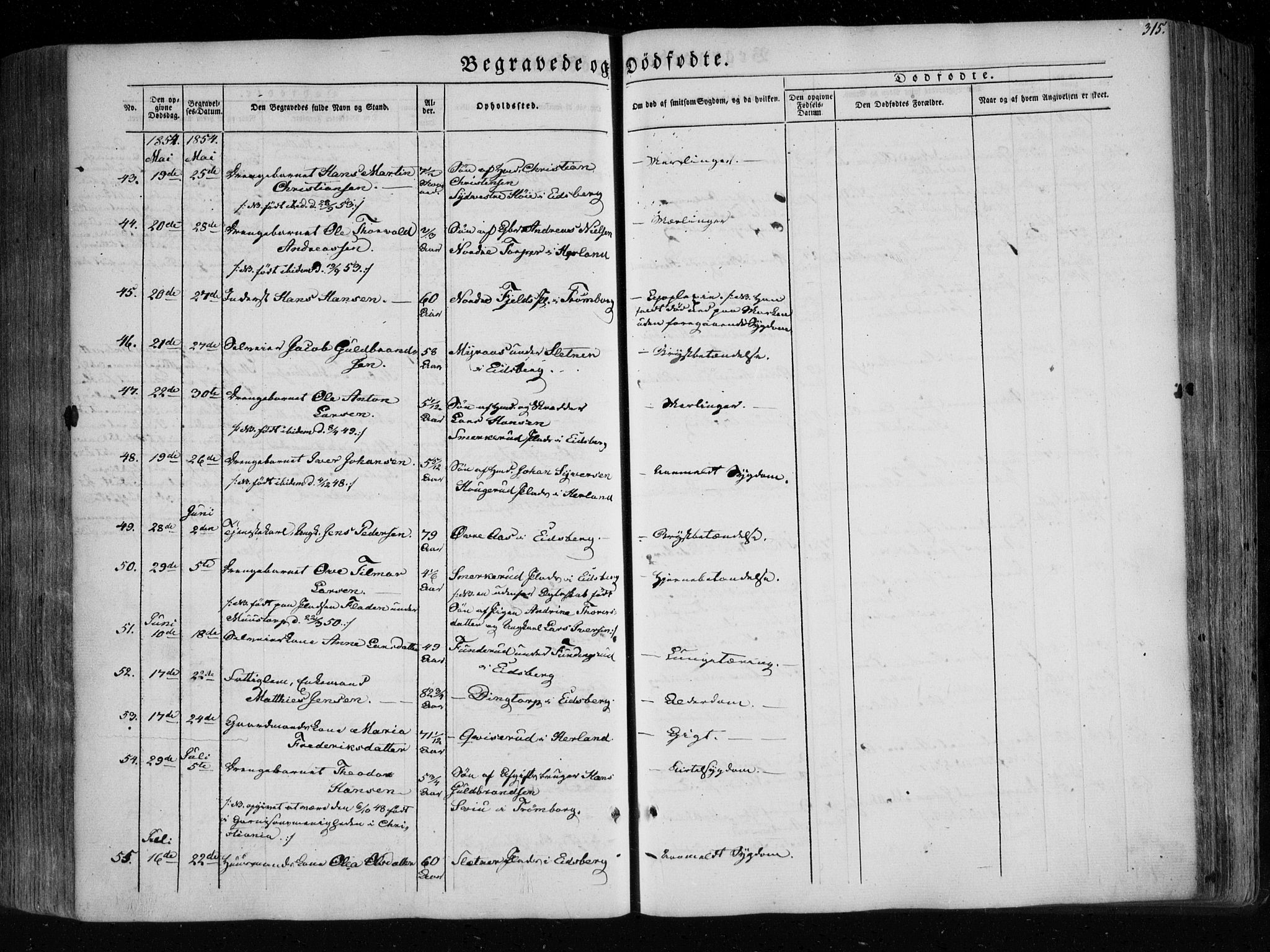 Eidsberg prestekontor Kirkebøker, AV/SAO-A-10905/F/Fa/L0009: Parish register (official) no. I 9, 1849-1856, p. 315