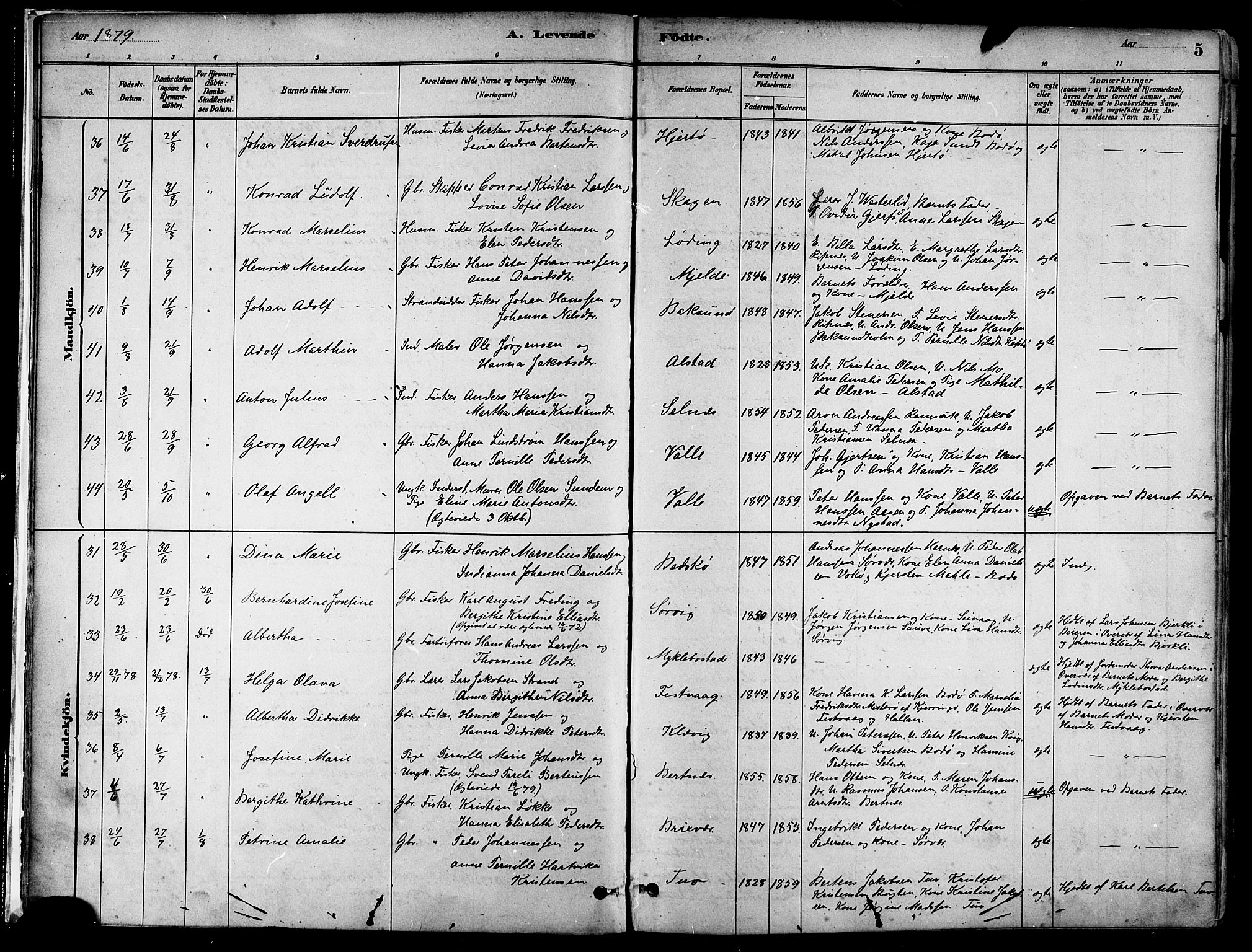 Ministerialprotokoller, klokkerbøker og fødselsregistre - Nordland, AV/SAT-A-1459/802/L0054: Parish register (official) no. 802A01, 1879-1893, p. 5