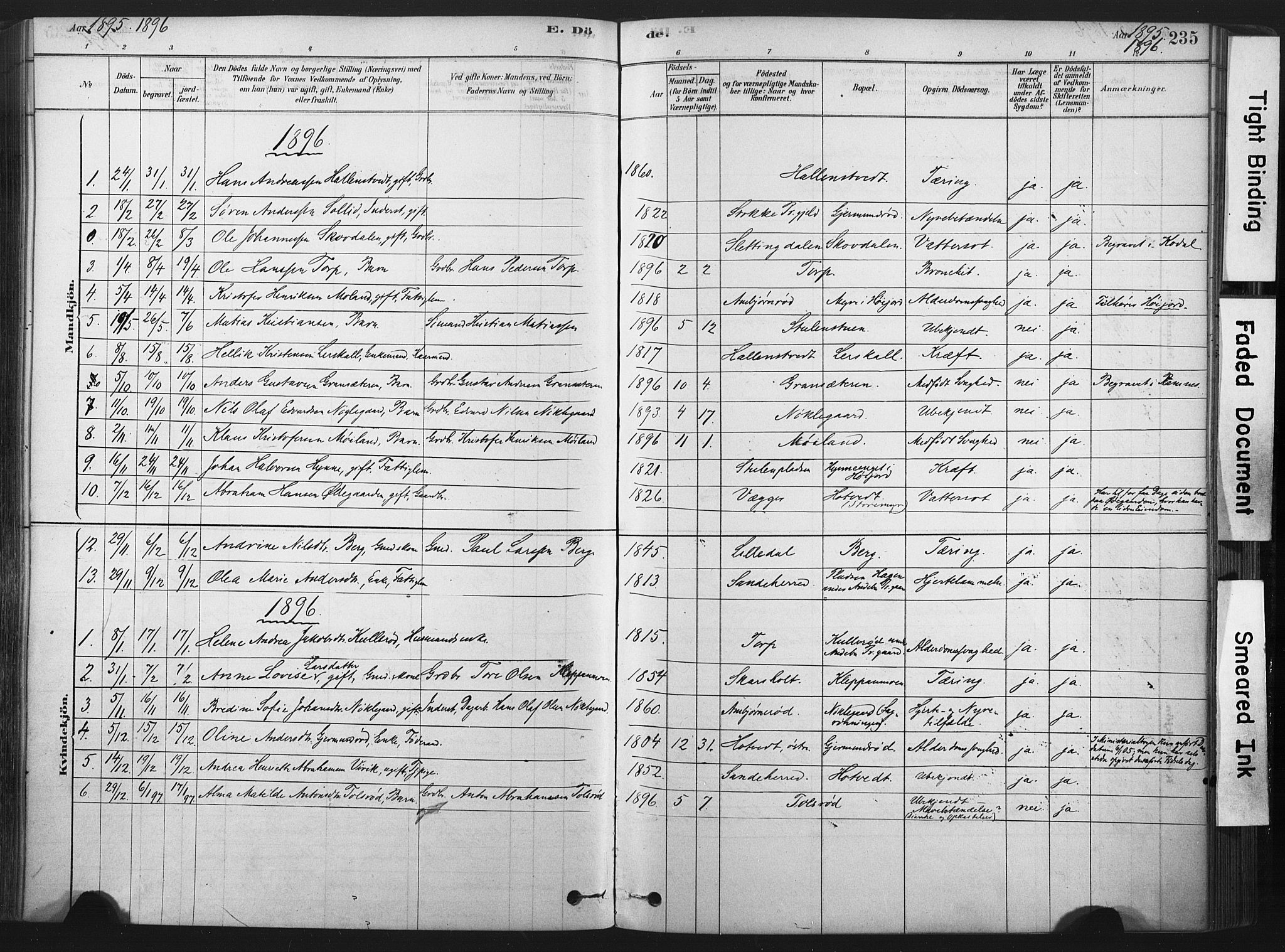 Andebu kirkebøker, SAKO/A-336/F/Fa/L0007: Parish register (official) no. 7, 1878-1899, p. 235