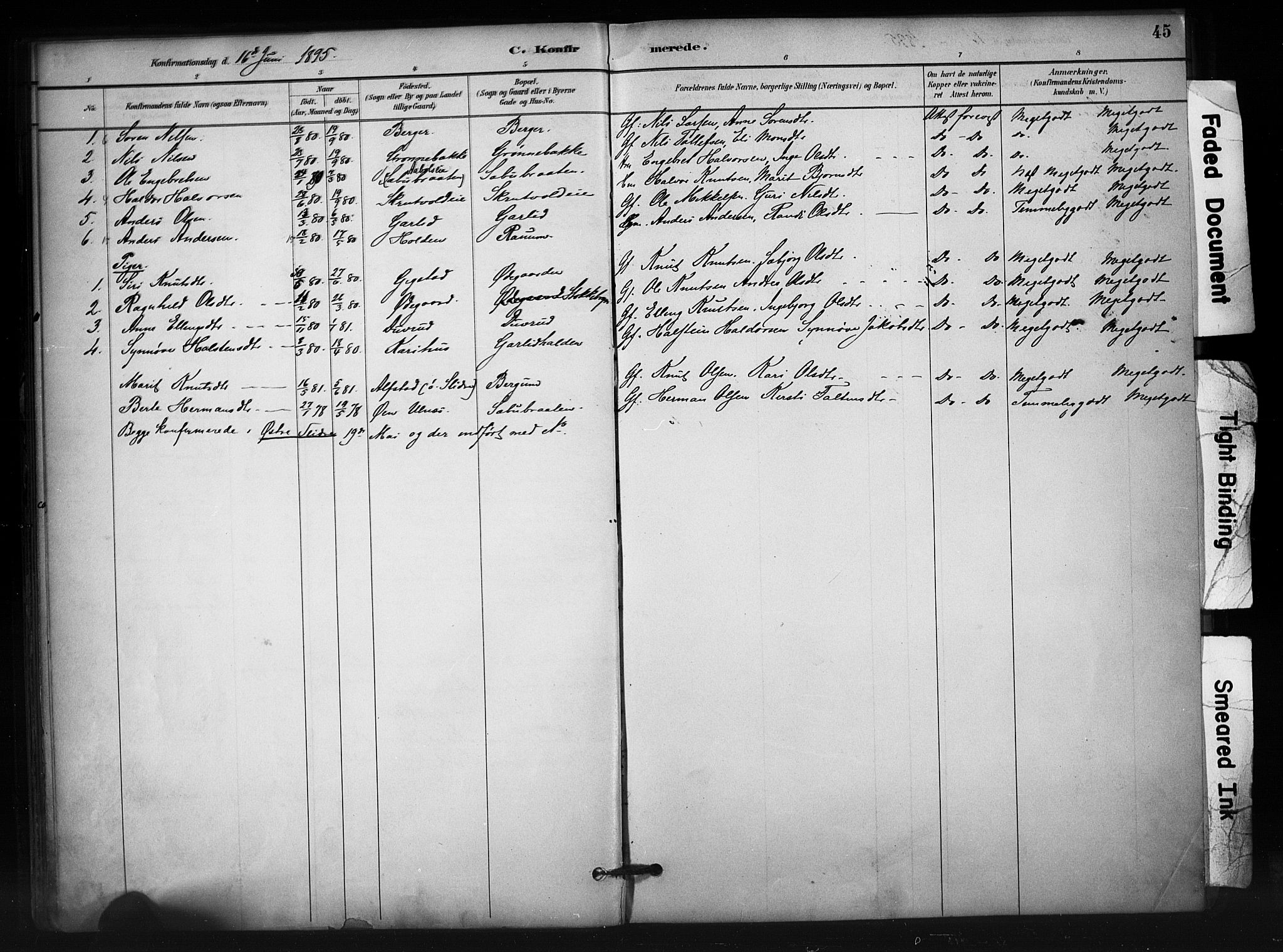 Nord-Aurdal prestekontor, AV/SAH-PREST-132/H/Ha/Haa/L0012: Parish register (official) no. 12, 1883-1895, p. 45