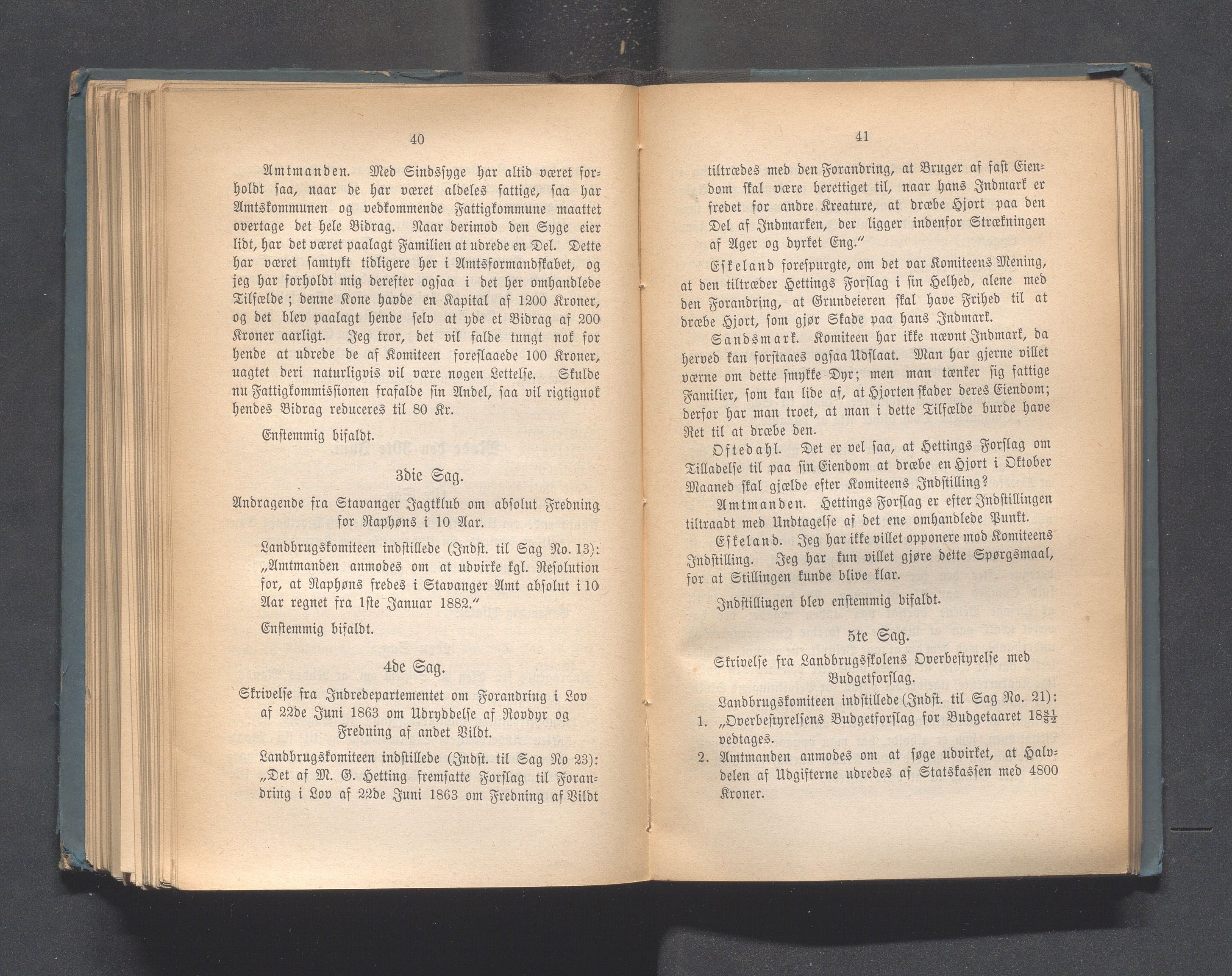 Rogaland fylkeskommune - Fylkesrådmannen , IKAR/A-900/A, 1881, p. 246