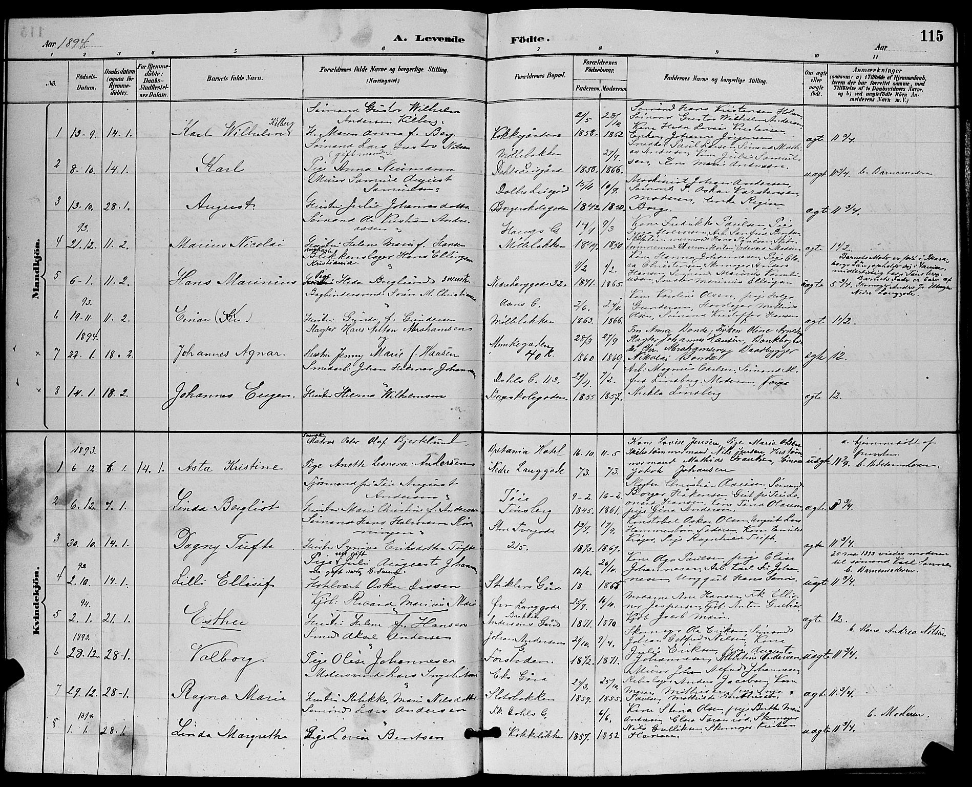 Tønsberg kirkebøker, AV/SAKO-A-330/G/Ga/L0006: Parish register (copy) no. 6, 1885-1895, p. 115