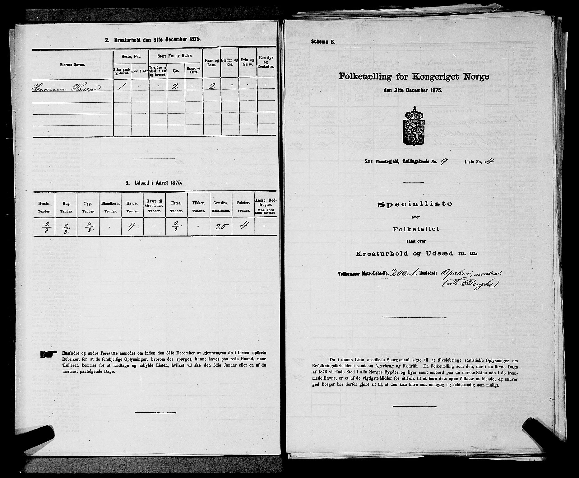 RA, 1875 census for 0236P Nes, 1875, p. 1505