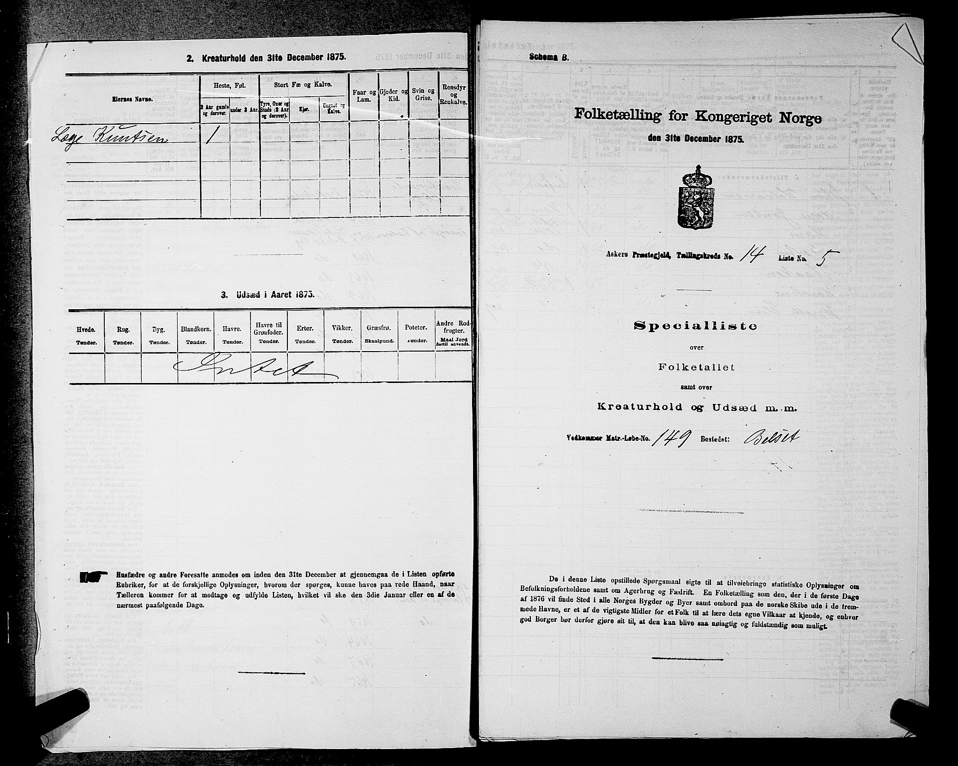 RA, 1875 census for 0220P Asker, 1875, p. 2508