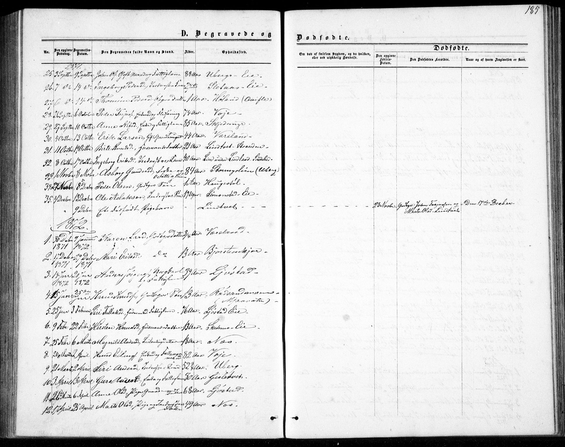 Gjerstad sokneprestkontor, AV/SAK-1111-0014/F/Fb/Fbb/L0003: Parish register (copy) no. B 3, 1862-1889, p. 185