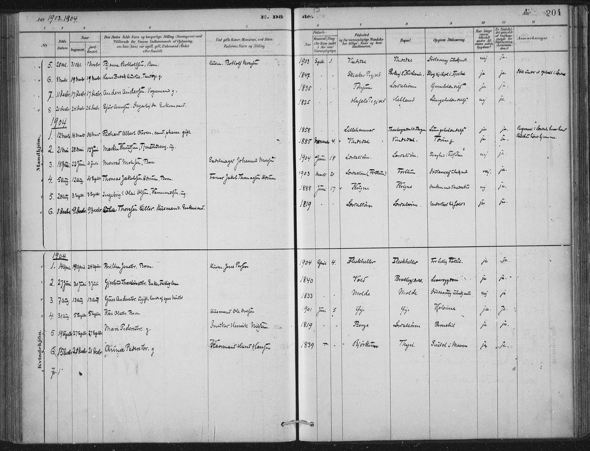 Lærdal sokneprestembete, AV/SAB-A-81201: Parish register (official) no. D  1, 1878-1908, p. 204