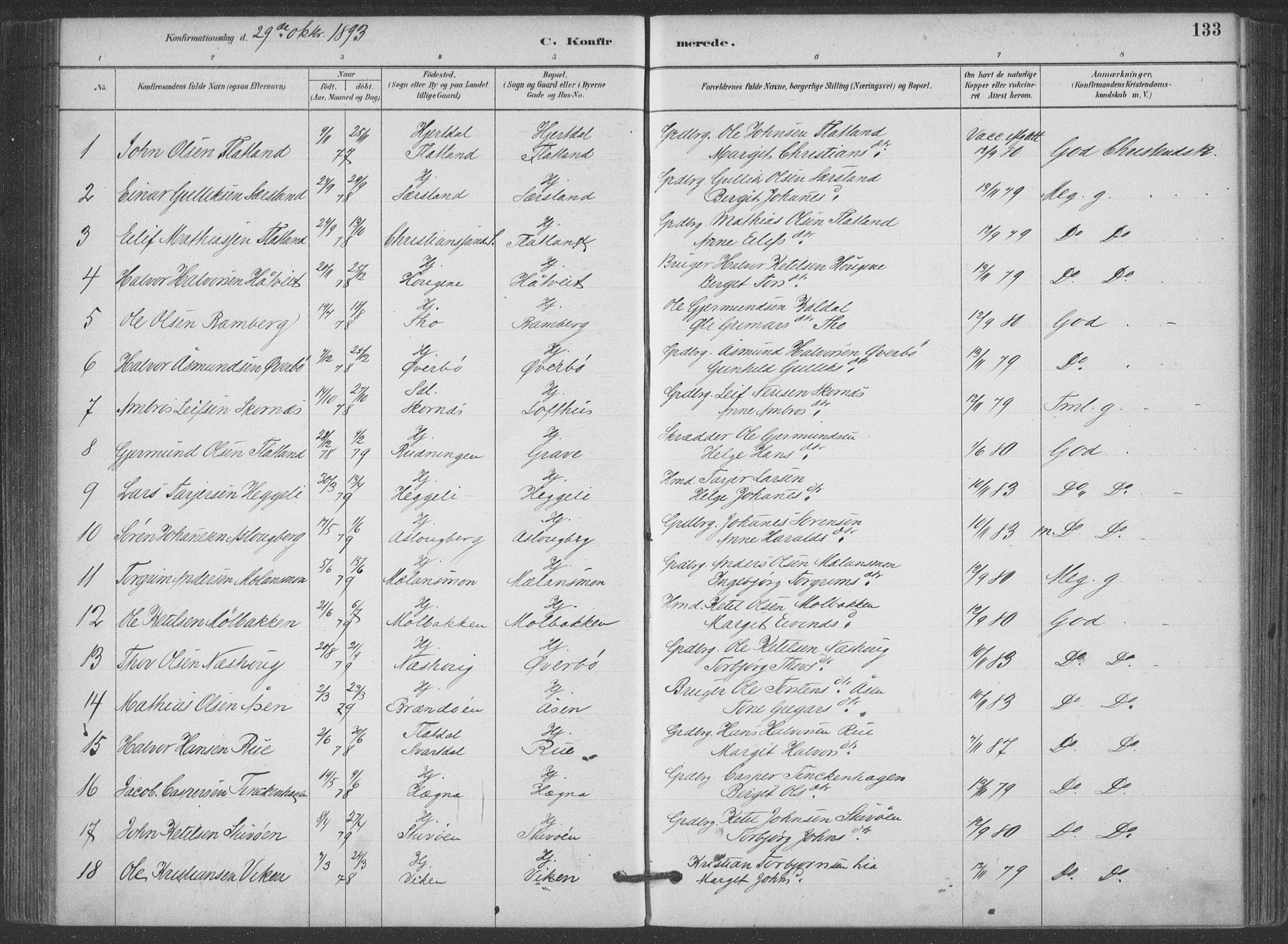 Hjartdal kirkebøker, SAKO/A-270/F/Fa/L0010: Parish register (official) no. I 10, 1880-1929, p. 133