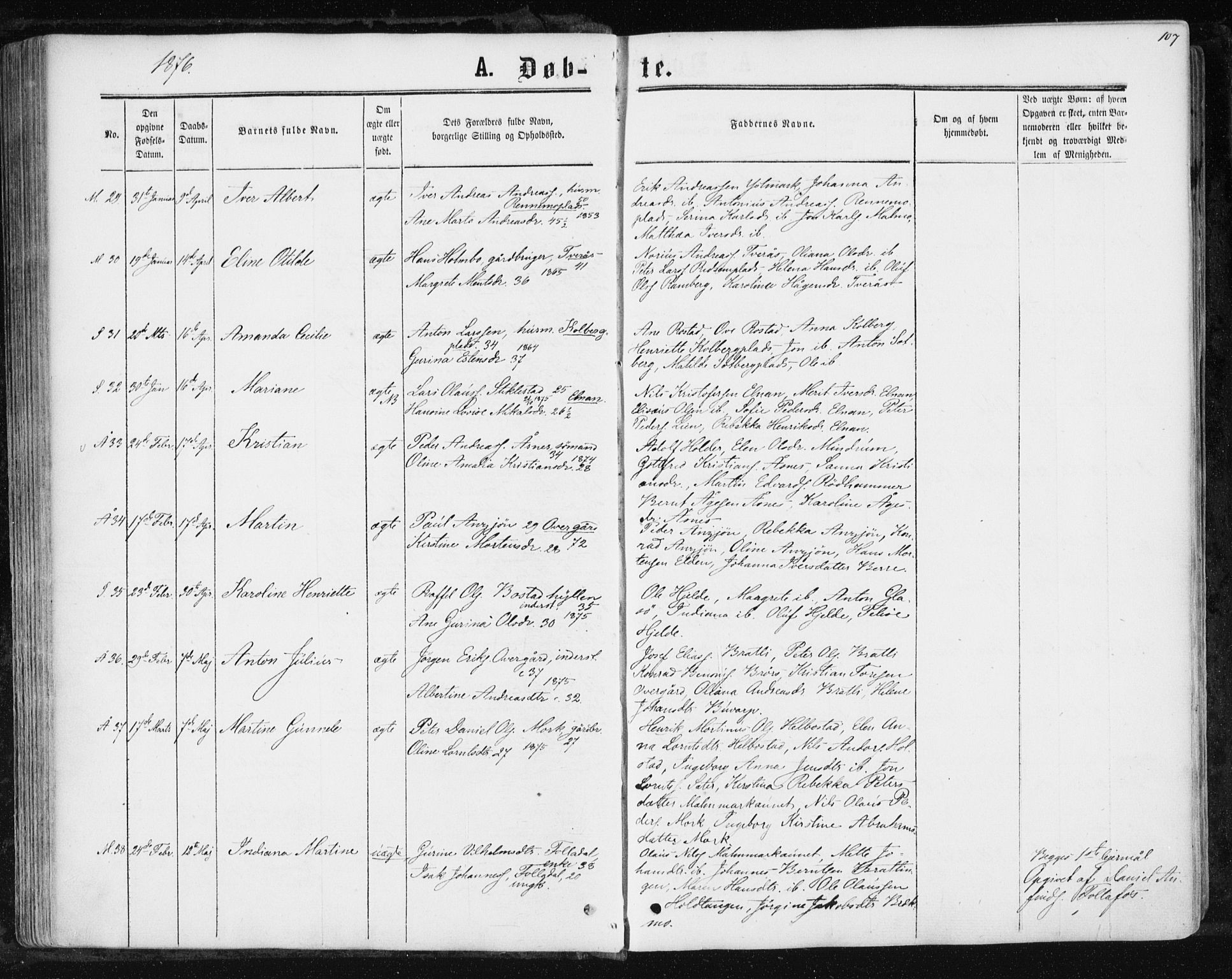 Ministerialprotokoller, klokkerbøker og fødselsregistre - Nord-Trøndelag, SAT/A-1458/741/L0394: Parish register (official) no. 741A08, 1864-1877, p. 107