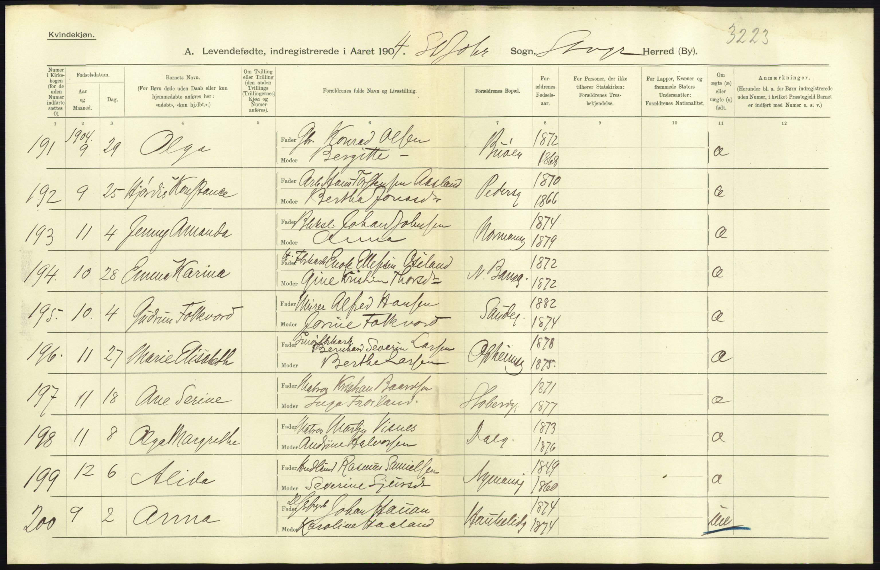 Statistisk sentralbyrå, Sosiodemografiske emner, Befolkning, AV/RA-S-2228/D/Df/Dfa/Dfab/L0012: Stavanger amt: Fødte, gifte, døde, 1904, p. 49