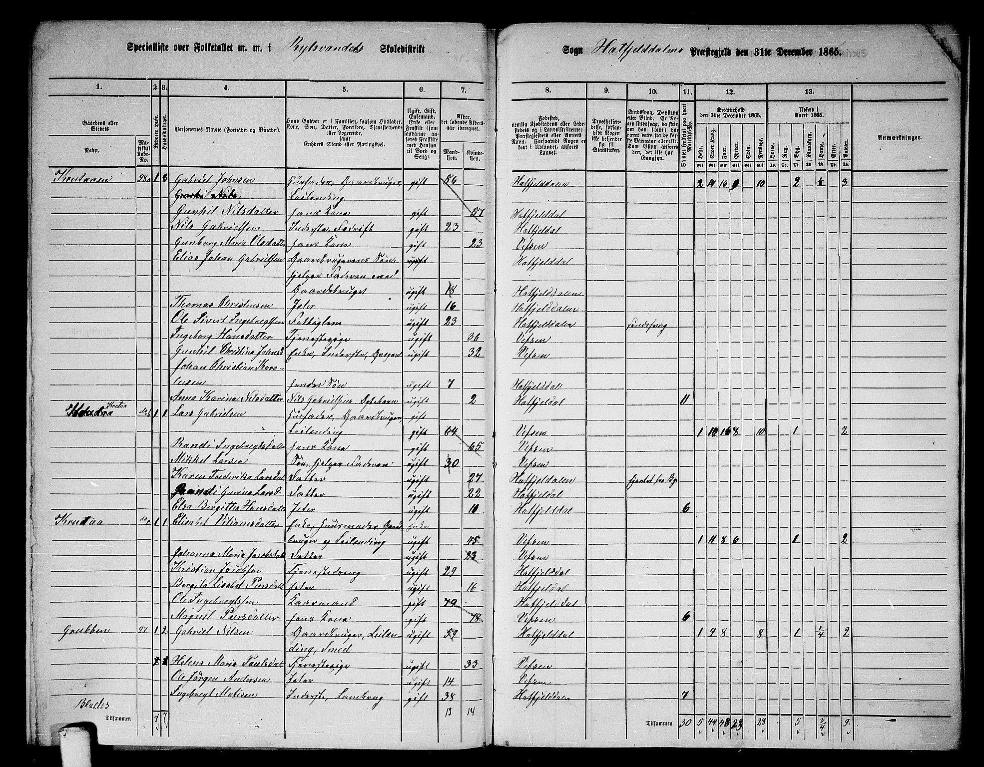 RA, 1865 census for Hattfjelldal, 1865, p. 45