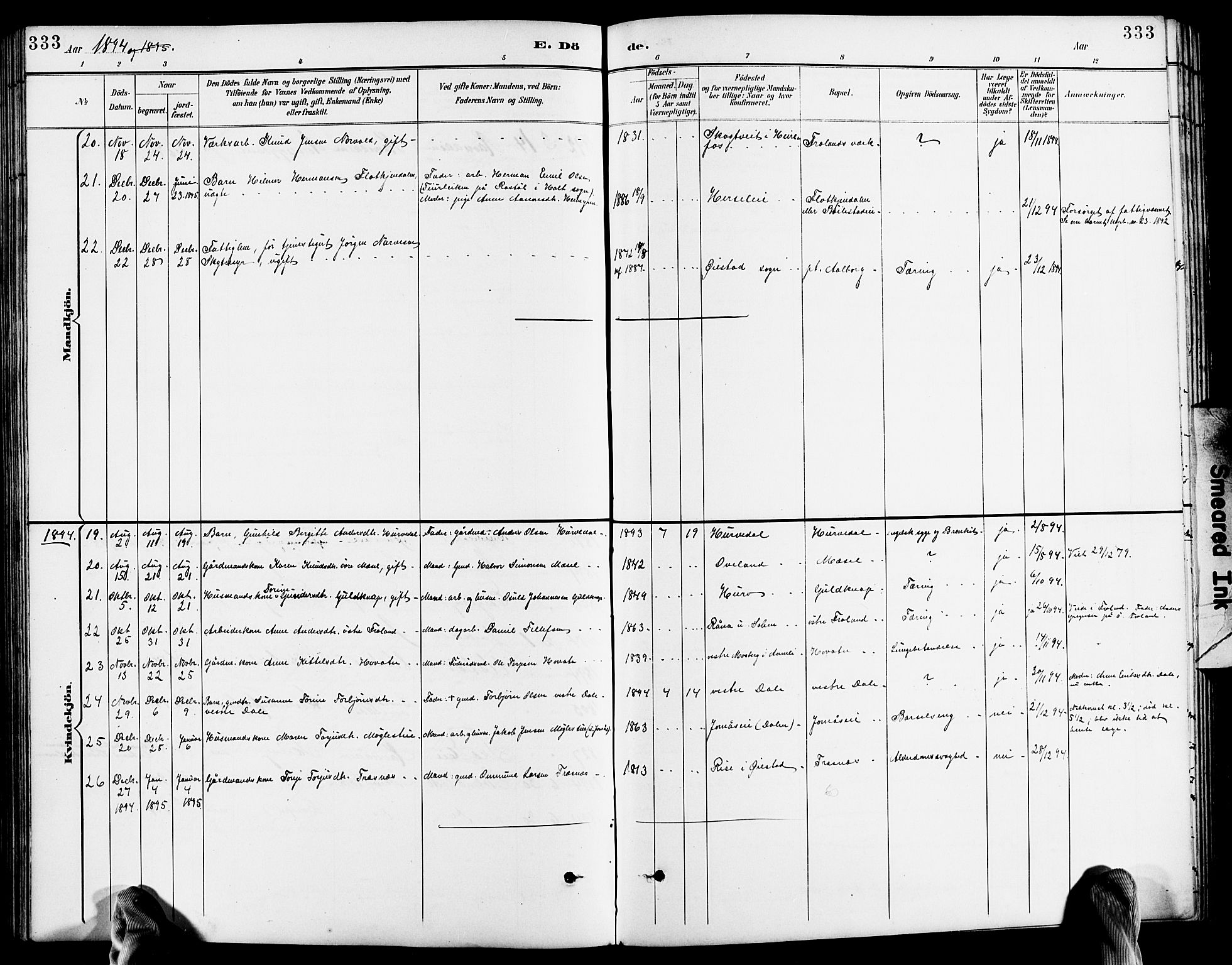 Froland sokneprestkontor, AV/SAK-1111-0013/F/Fb/L0010: Parish register (copy) no. B 10, 1893-1920, p. 333