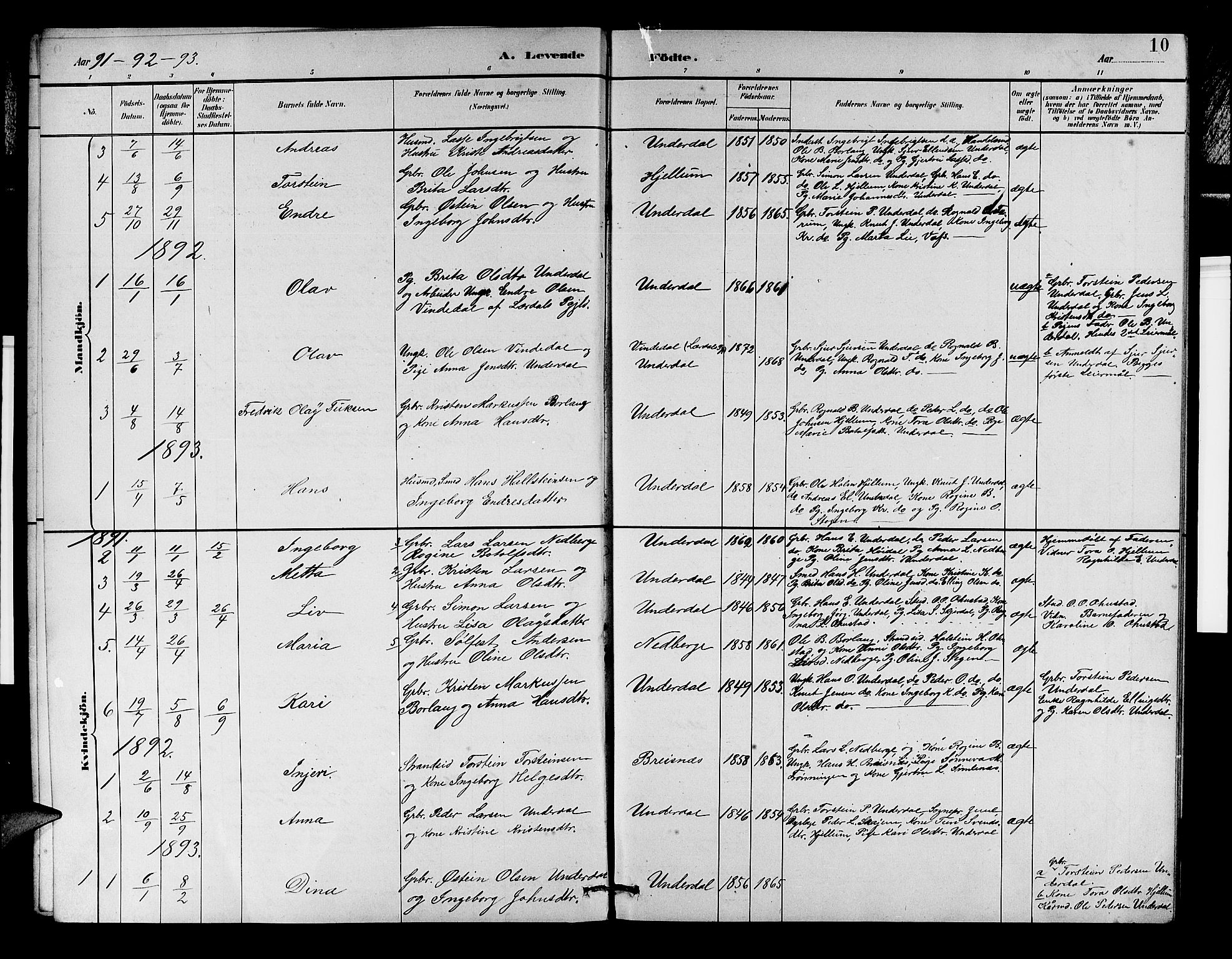 Aurland sokneprestembete, SAB/A-99937/H/Hb/Hbd/L0002: Parish register (copy) no. D 2, 1883-1920, p. 10