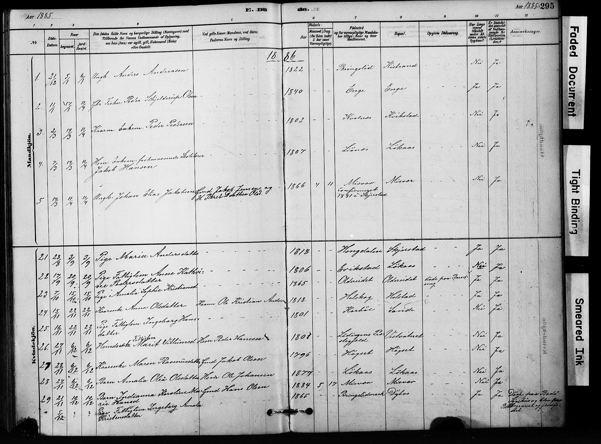 Ministerialprotokoller, klokkerbøker og fødselsregistre - Nordland, SAT/A-1459/852/L0754: Parish register (copy) no. 852C05, 1878-1894, p. 295