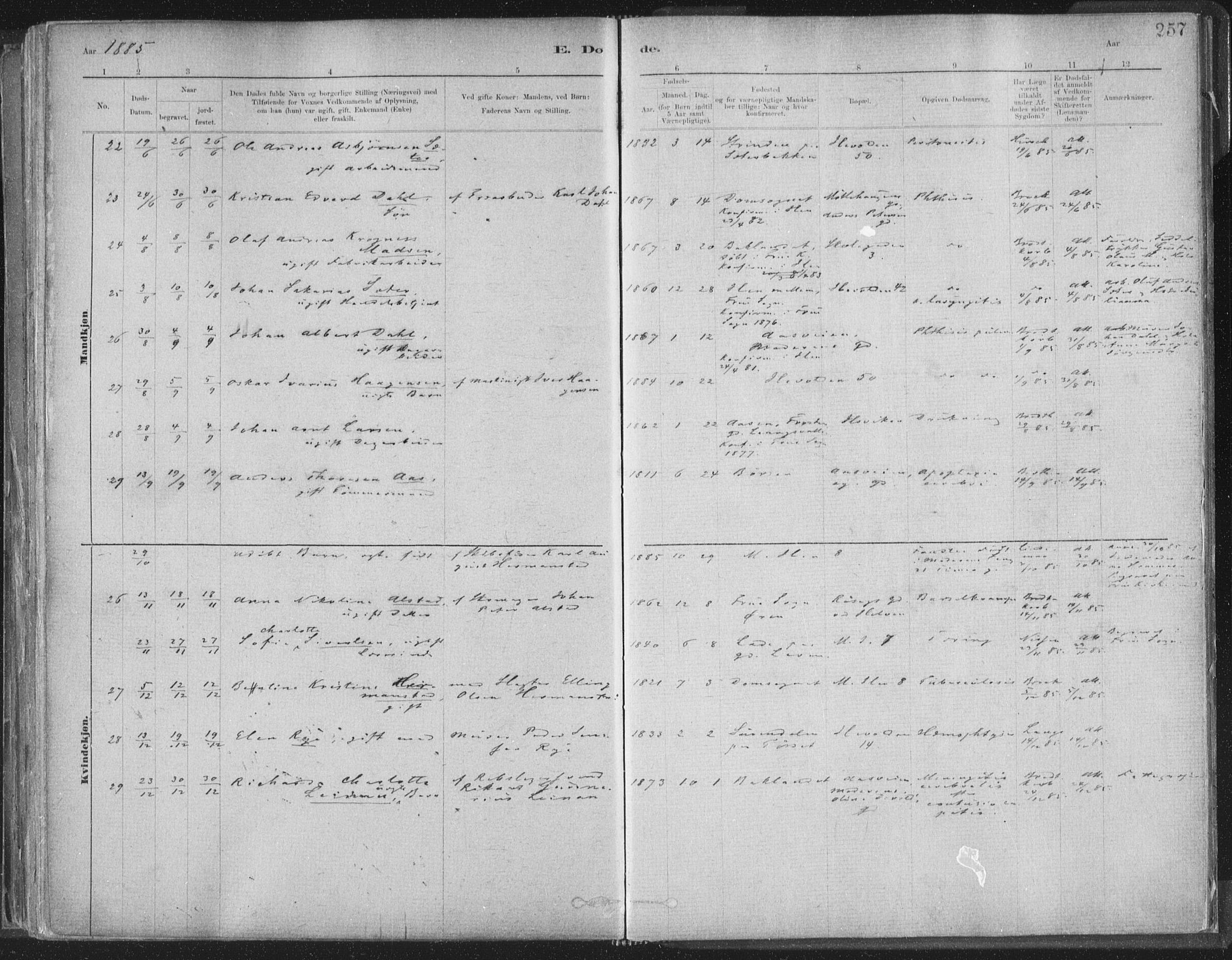 Ministerialprotokoller, klokkerbøker og fødselsregistre - Sør-Trøndelag, AV/SAT-A-1456/603/L0162: Parish register (official) no. 603A01, 1879-1895, p. 257