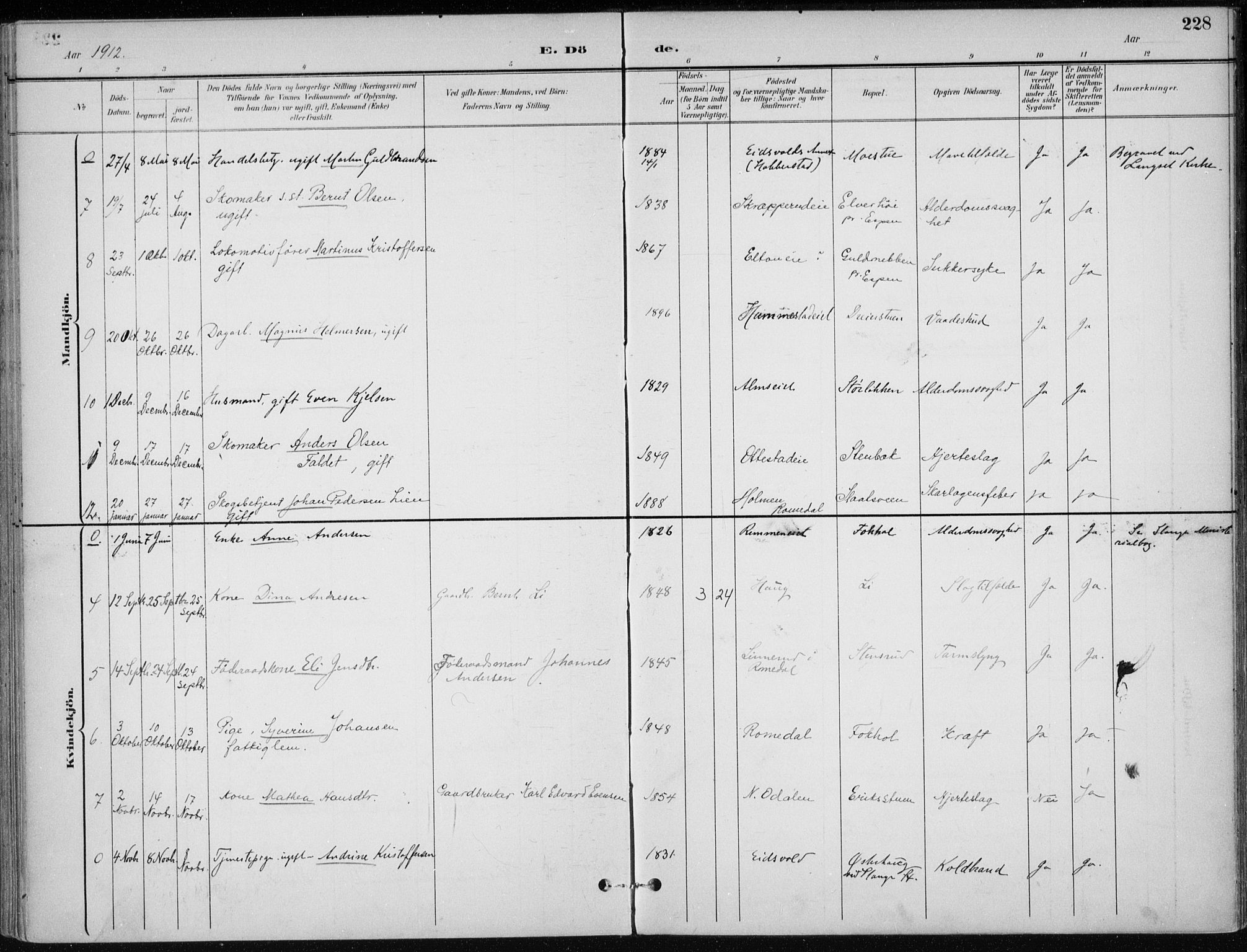 Stange prestekontor, AV/SAH-PREST-002/K/L0023: Parish register (official) no. 23, 1897-1920, p. 228