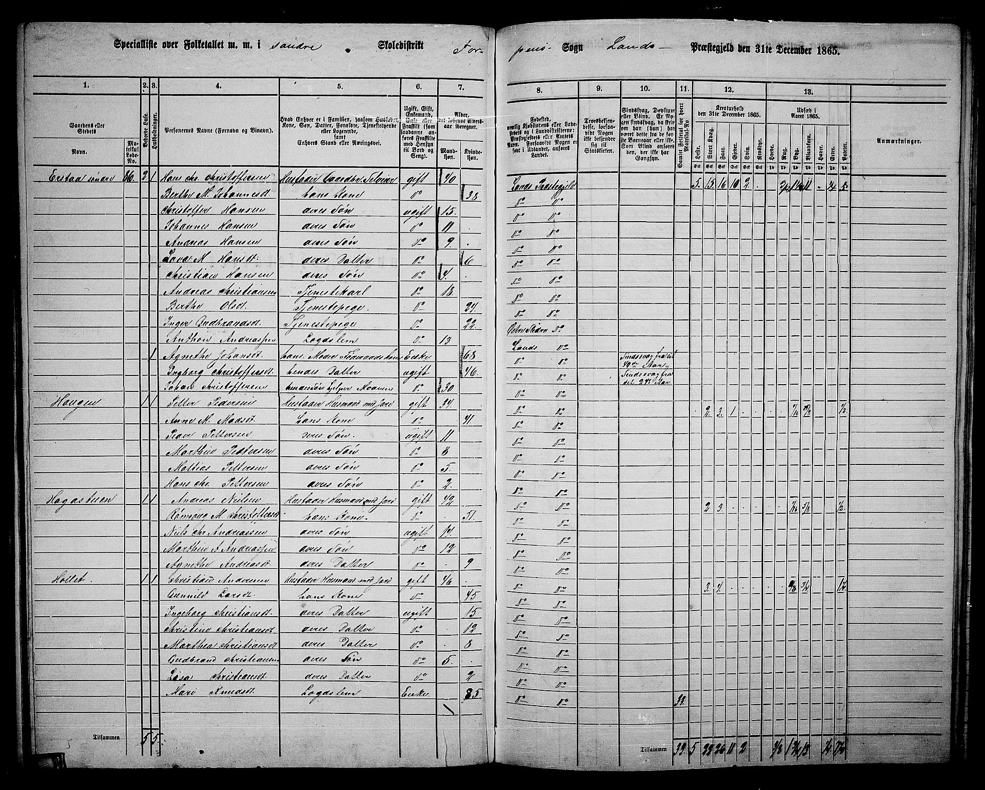 RA, 1865 census for Land, 1865, p. 89