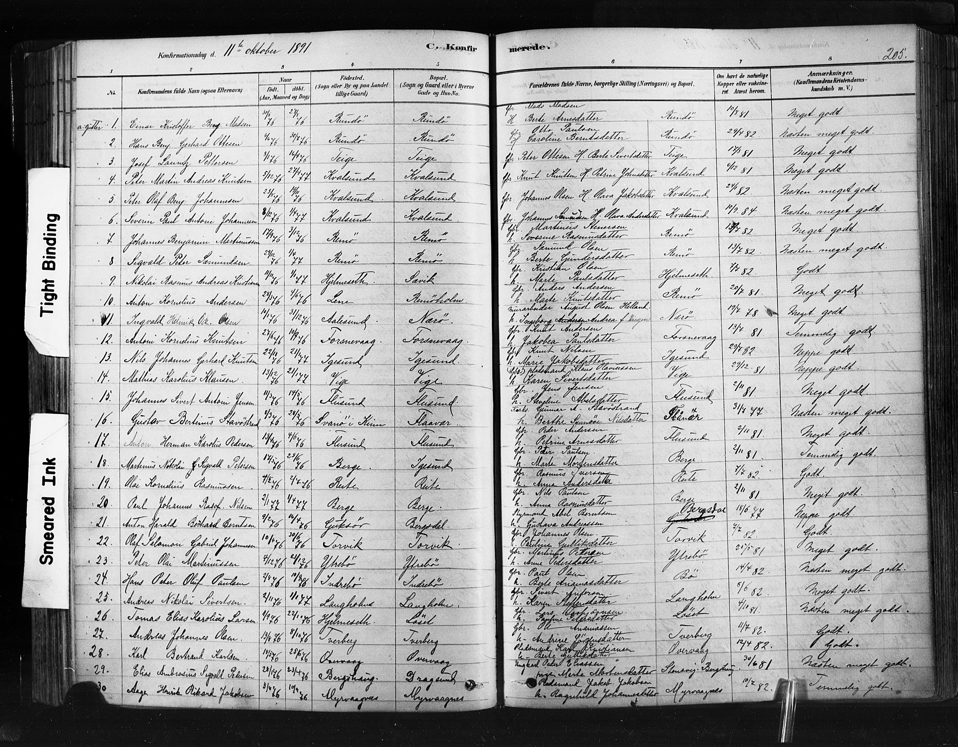 Ministerialprotokoller, klokkerbøker og fødselsregistre - Møre og Romsdal, SAT/A-1454/507/L0073: Parish register (official) no. 507A08, 1878-1904, p. 205