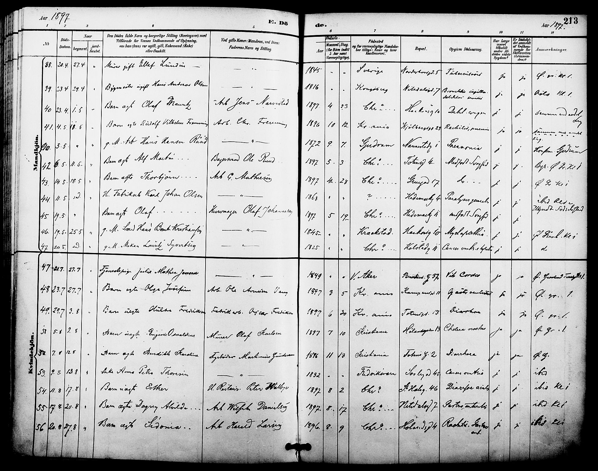 Kampen prestekontor Kirkebøker, SAO/A-10853/F/Fa/L0008: Parish register (official) no. I 8, 1892-1902, p. 213