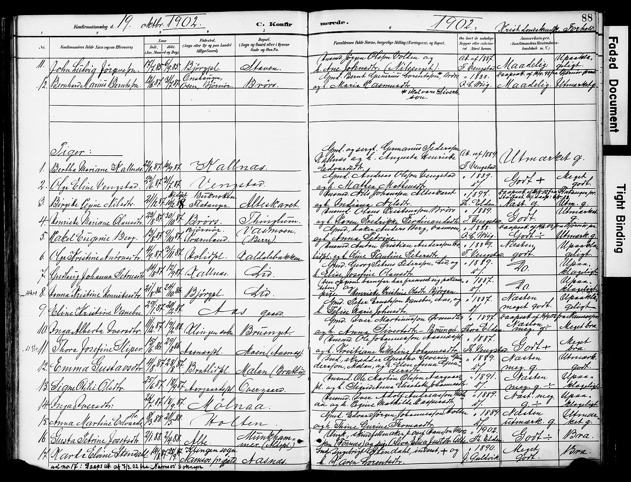 Ministerialprotokoller, klokkerbøker og fødselsregistre - Nord-Trøndelag, SAT/A-1458/742/L0409: Parish register (official) no. 742A02, 1891-1905, p. 88