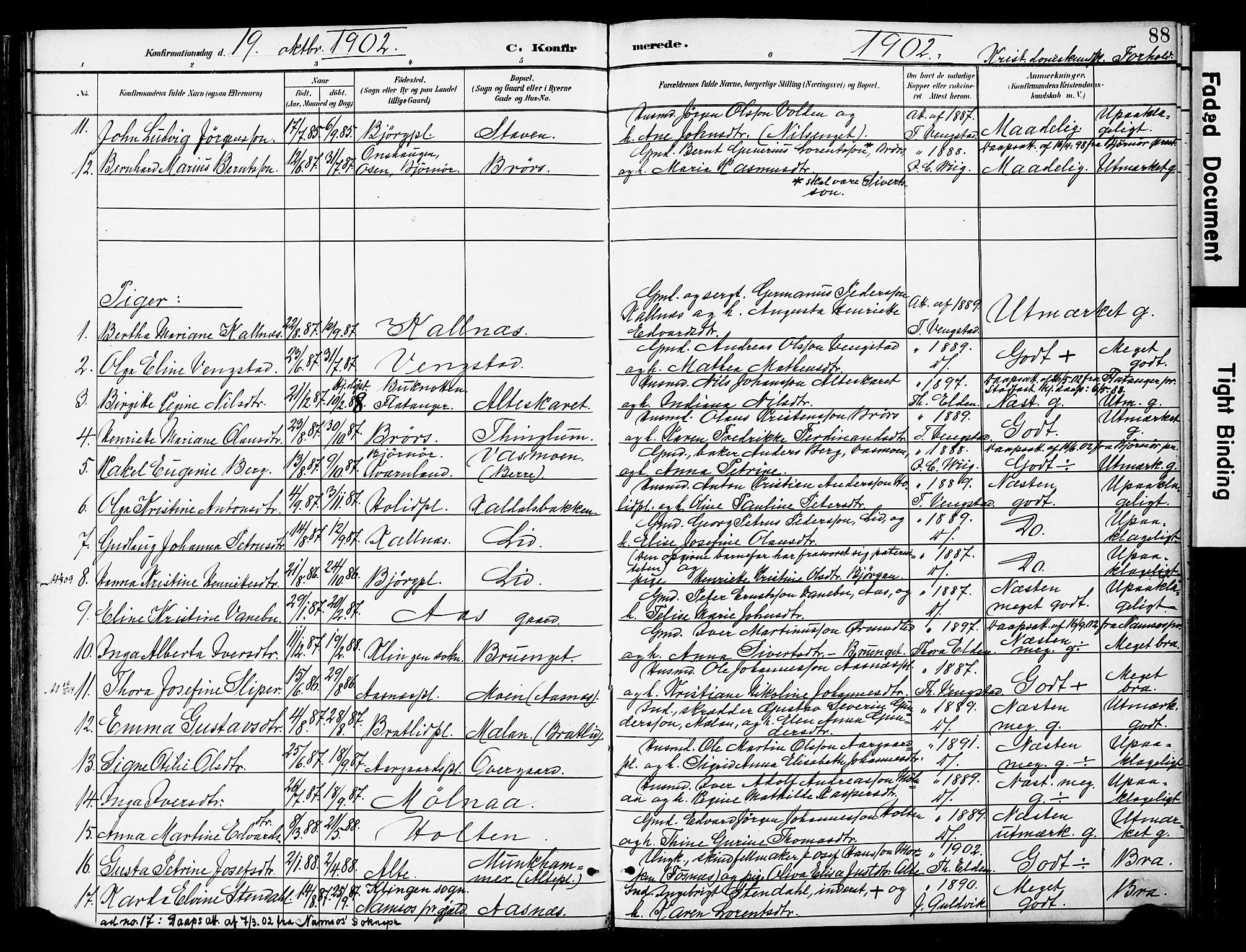 Ministerialprotokoller, klokkerbøker og fødselsregistre - Nord-Trøndelag, AV/SAT-A-1458/742/L0409: Parish register (official) no. 742A02, 1891-1905, p. 88