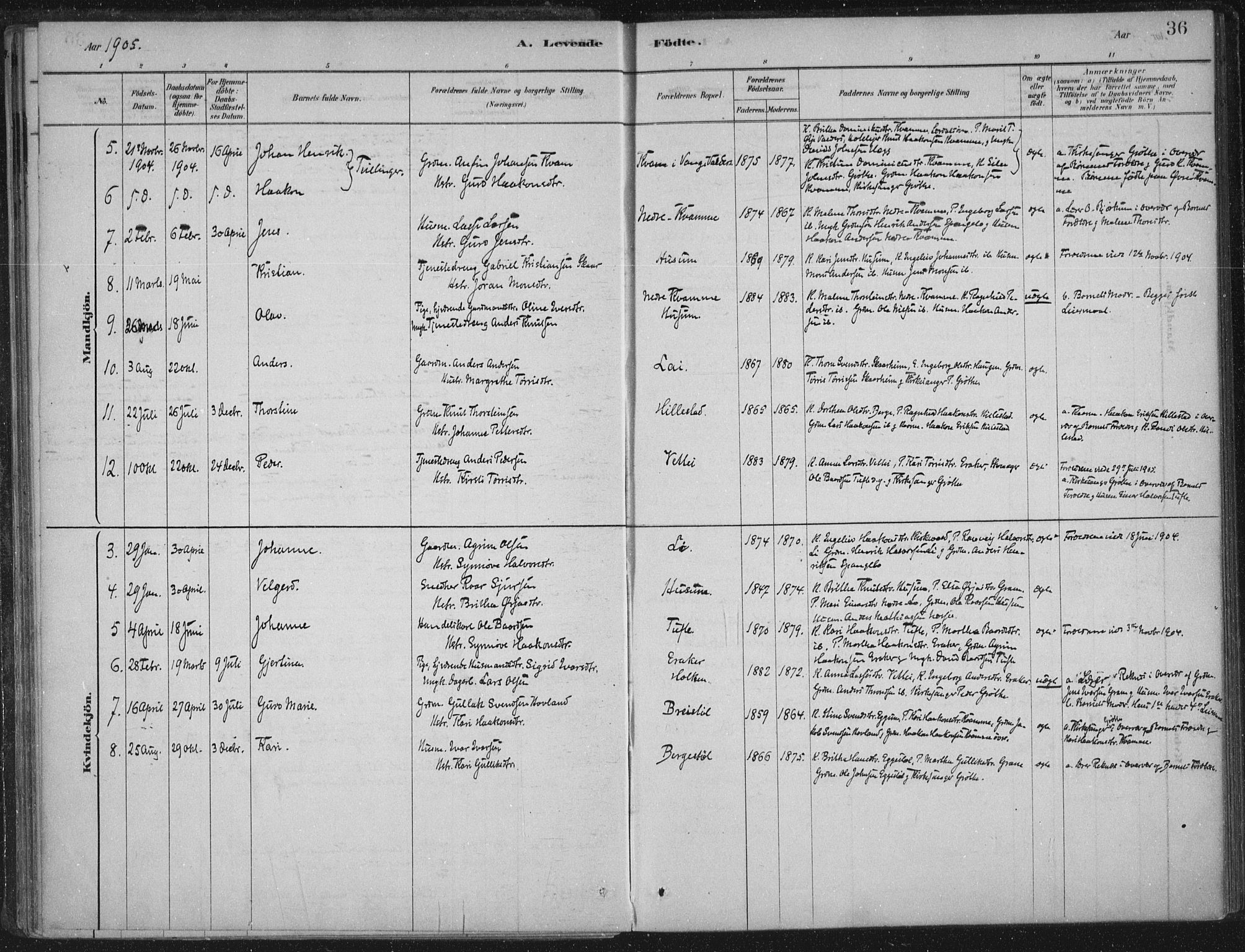 Lærdal sokneprestembete, AV/SAB-A-81201: Parish register (official) no. C  1, 1878-1911, p. 36