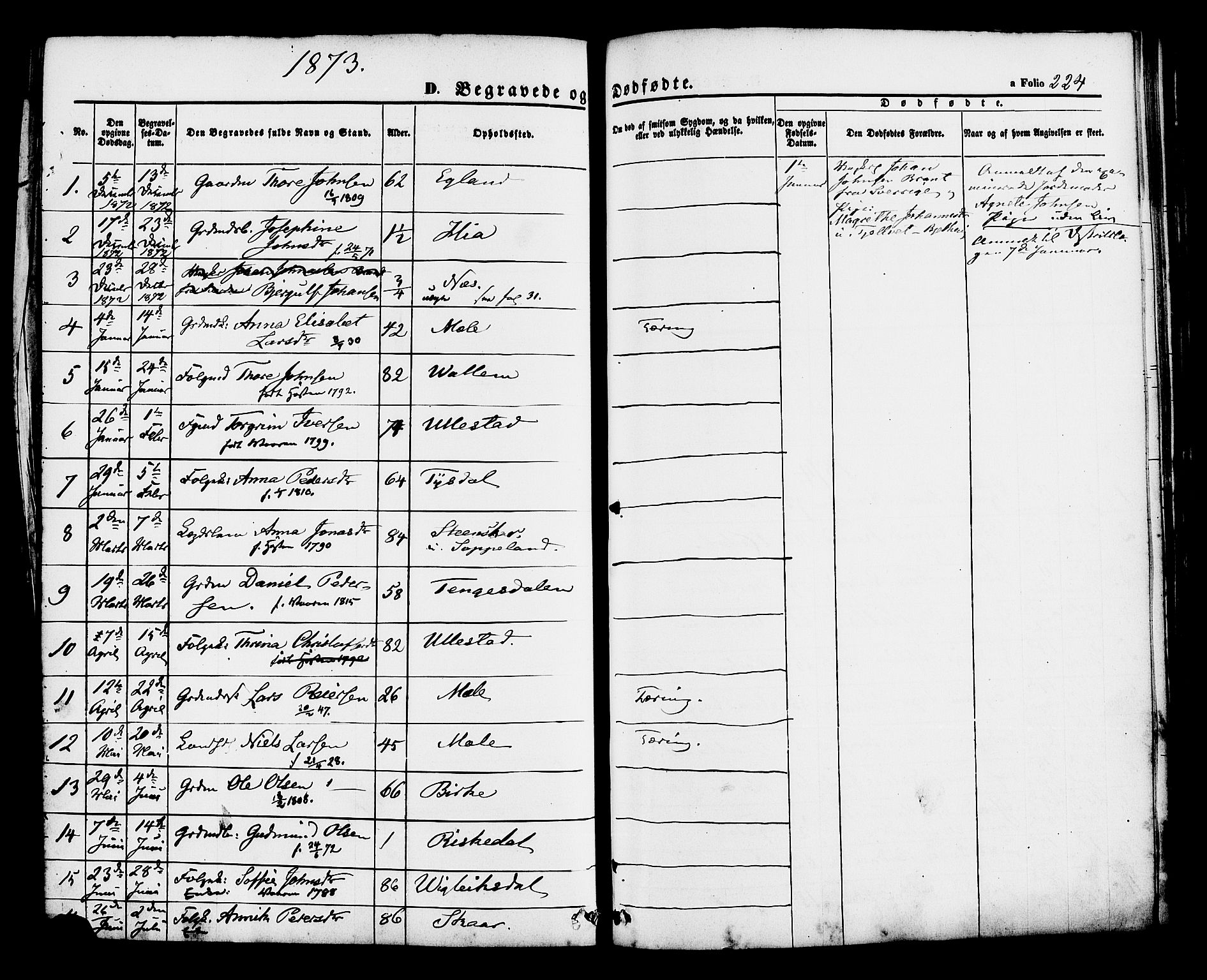 Hjelmeland sokneprestkontor, AV/SAST-A-101843/01/IV/L0012: Parish register (official) no. A 12, 1862-1886, p. 224