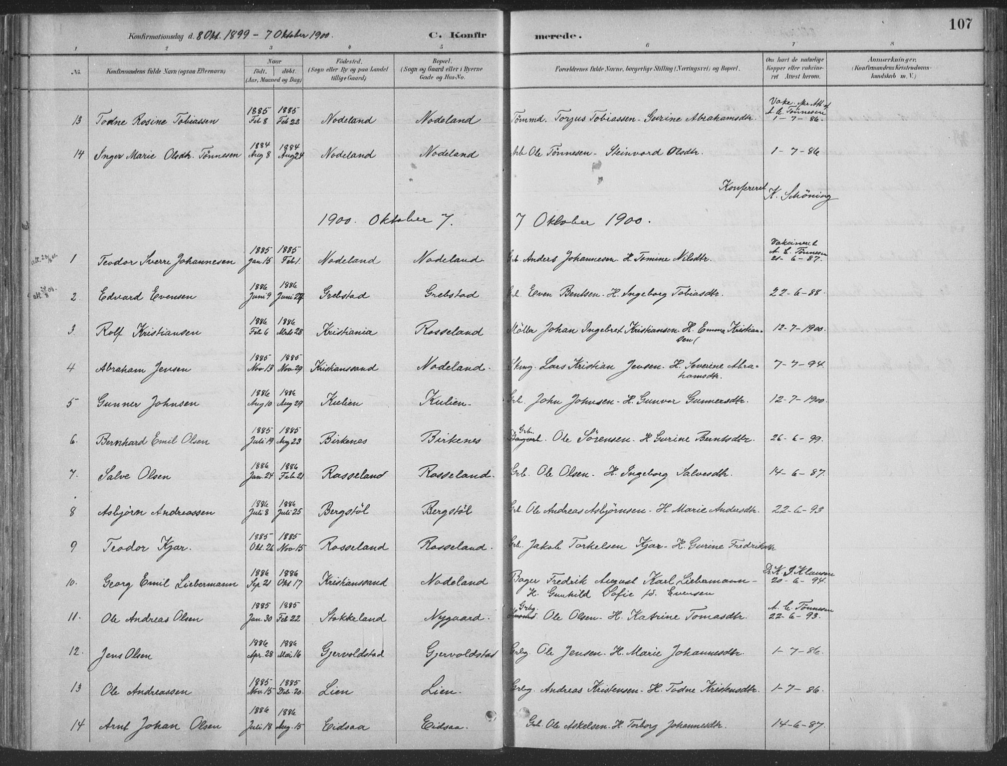 Søgne sokneprestkontor, SAK/1111-0037/F/Fa/Faa/L0003: Parish register (official) no. A 3, 1883-1910, p. 107
