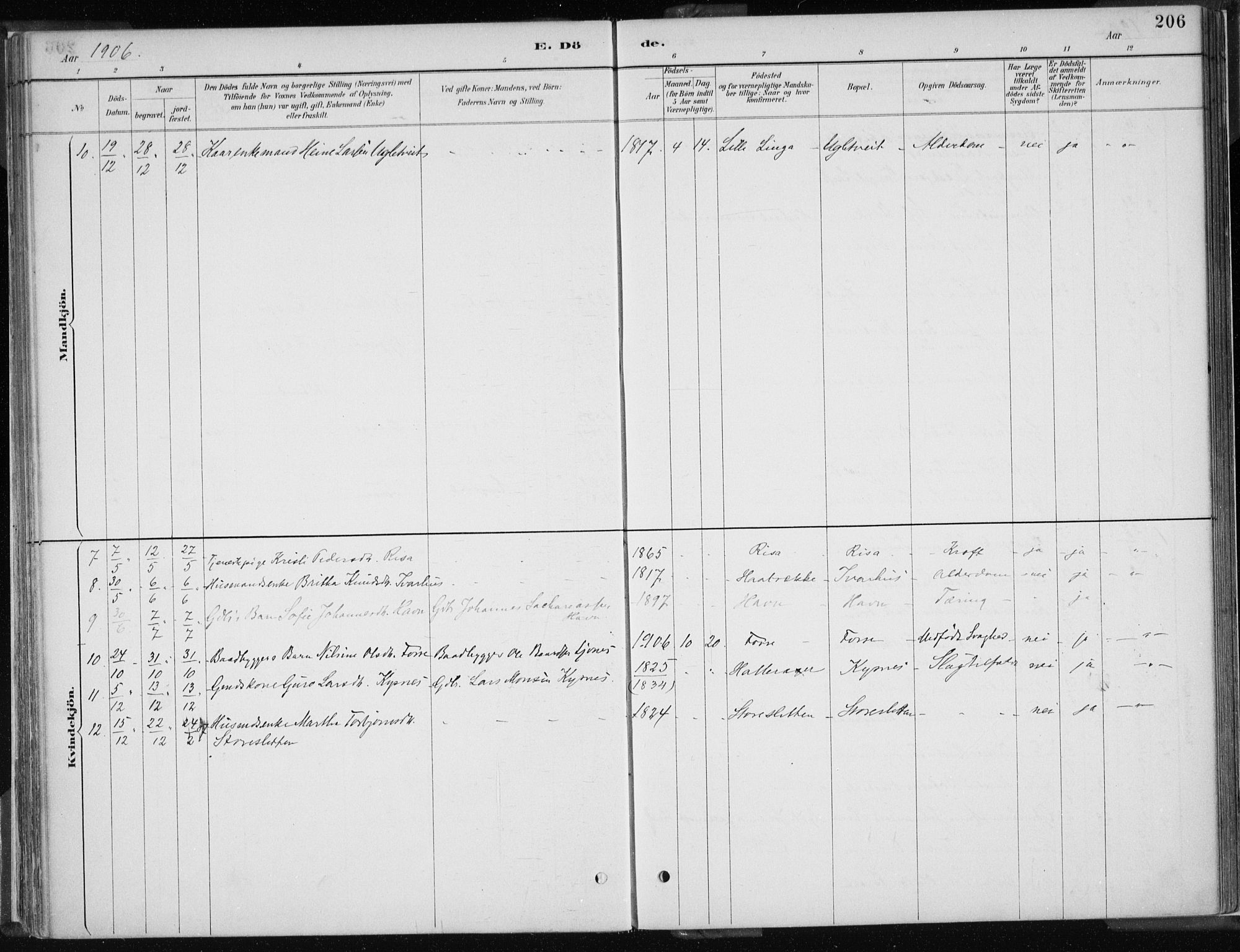 Strandebarm sokneprestembete, AV/SAB-A-78401/H/Haa: Parish register (official) no. B  1, 1886-1908, p. 206